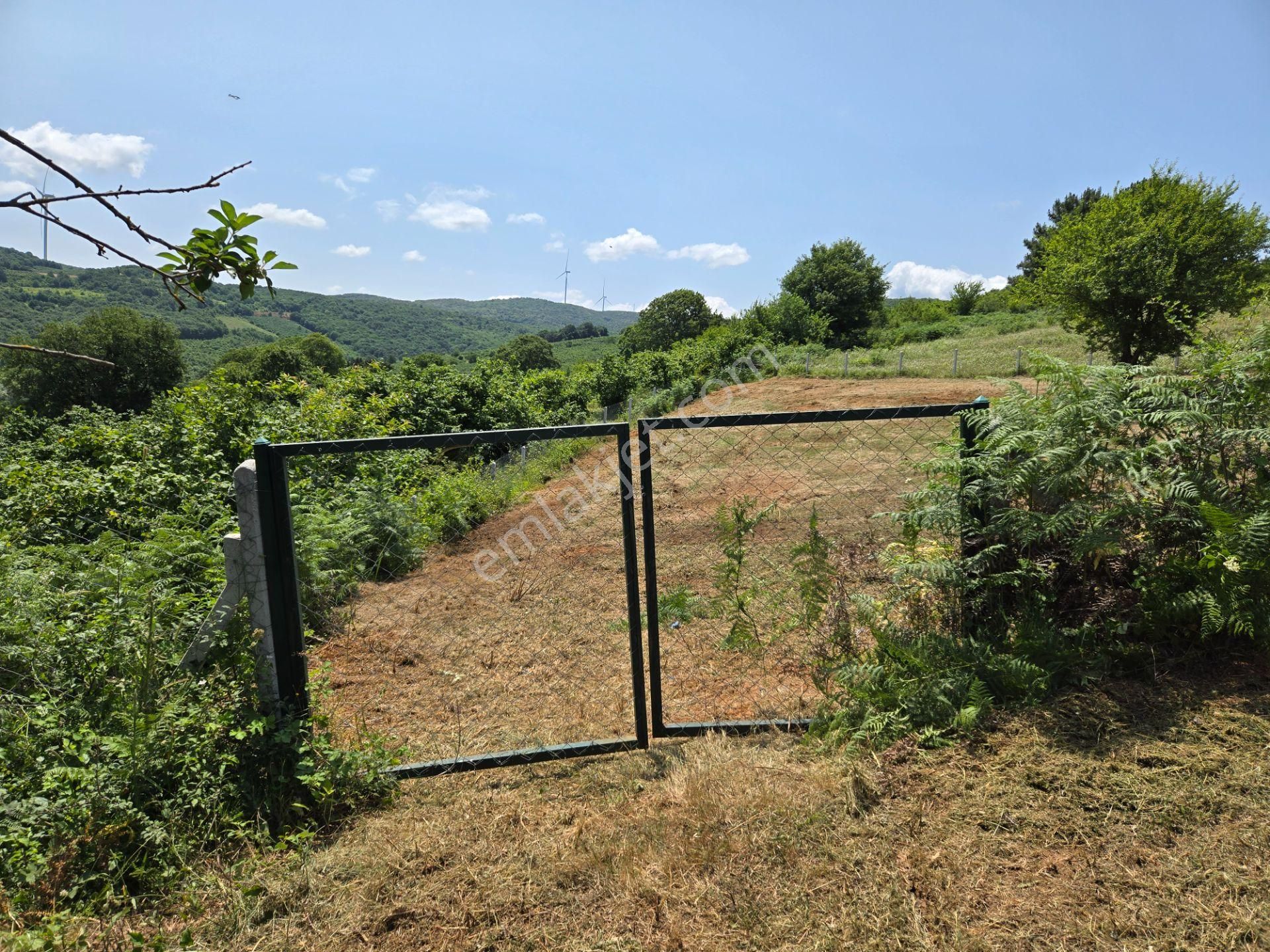 Bağırganlı'da Full Deniz Ve Doğa Manzaralı 1082 M2 Tarla - Görsel 6