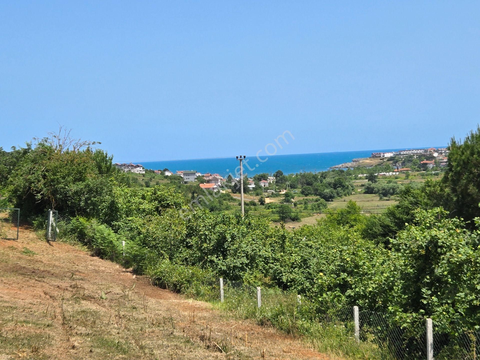 Bağırganlı'da Full Deniz Ve Doğa Manzaralı 1082 M2 Tarla - Görsel 9