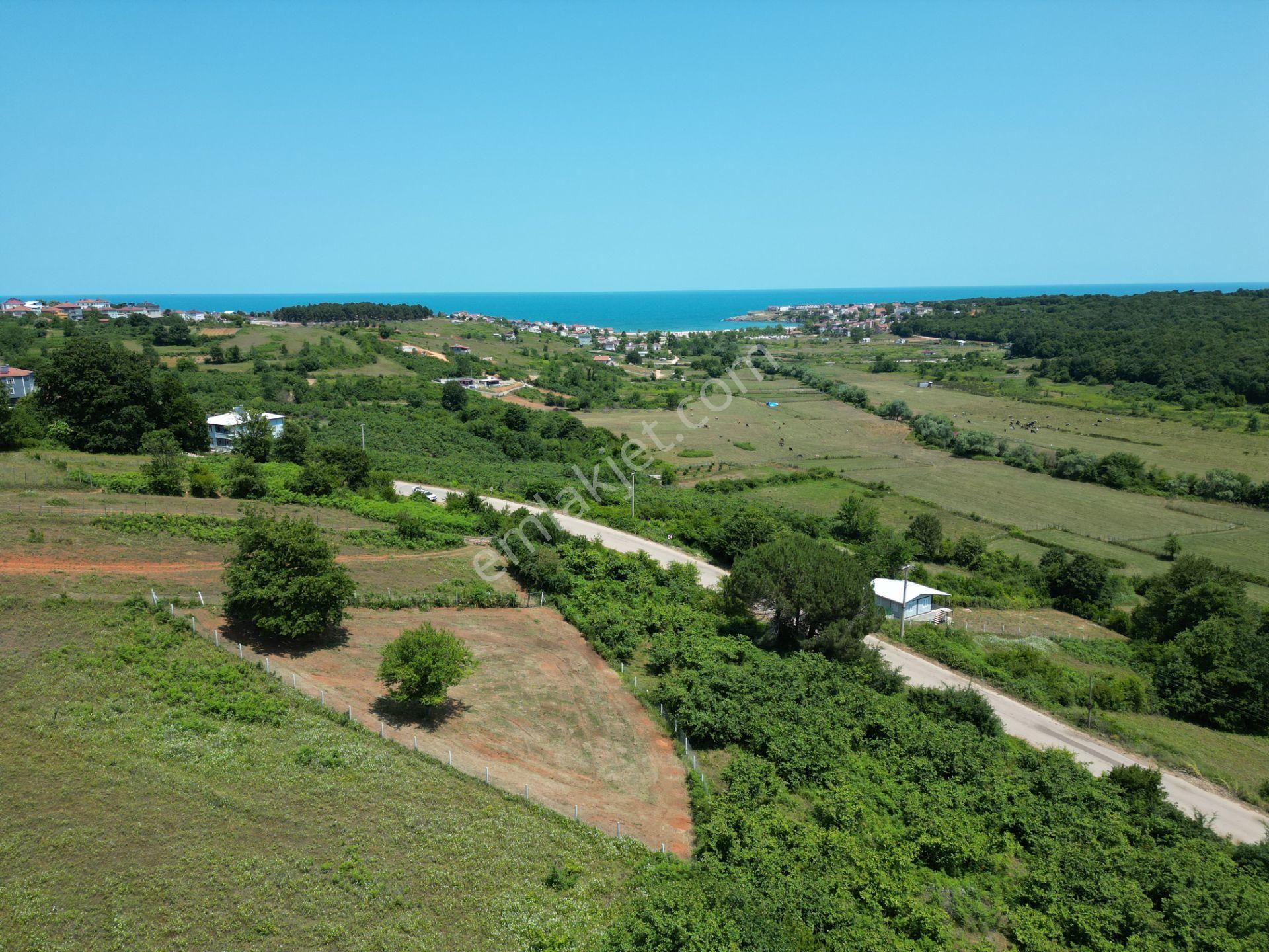 Bağırganlı'da Full Deniz Ve Doğa Manzaralı 1082 M2 Tarla - Görsel 17