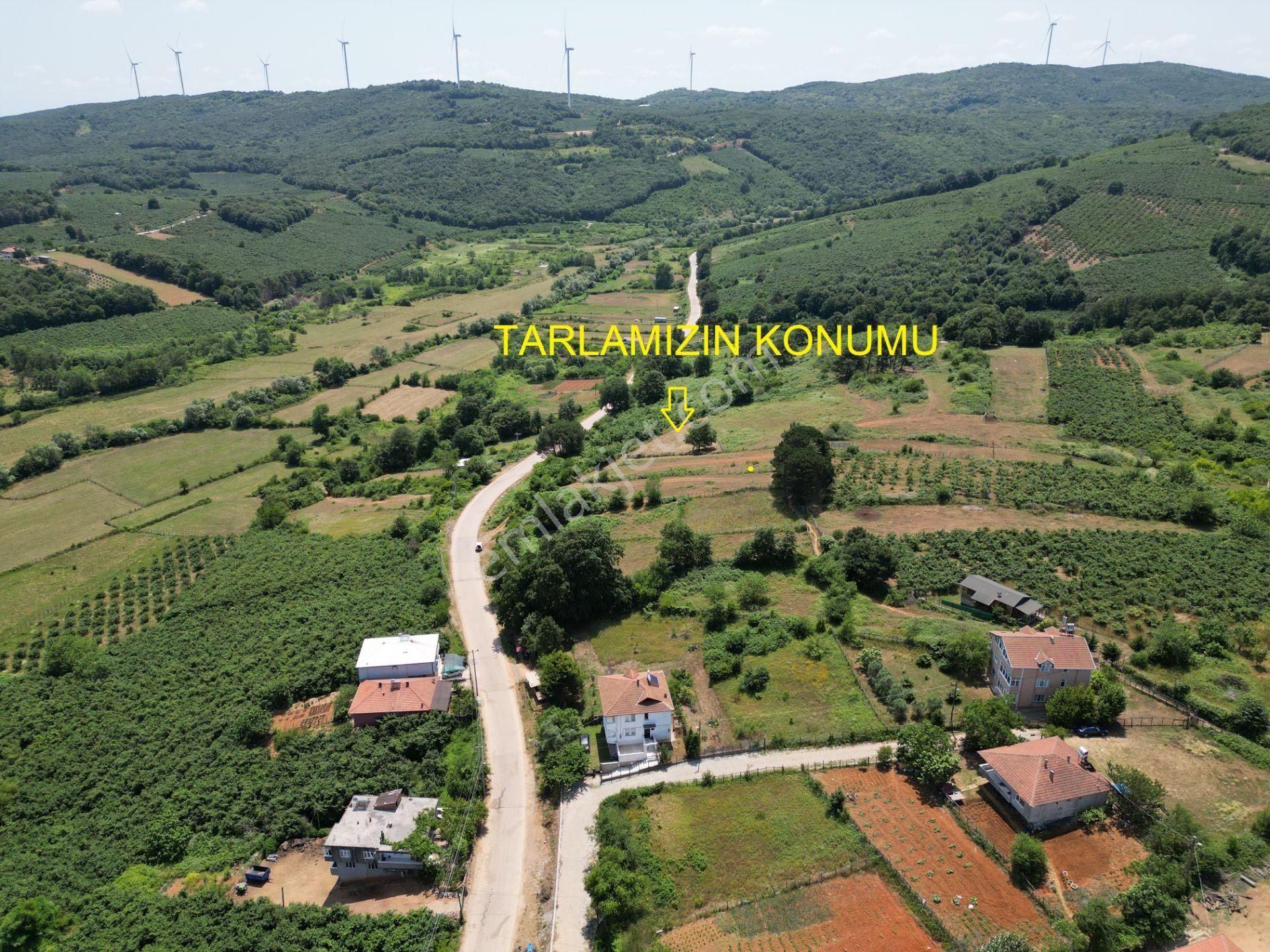 Bağırganlı'da Full Deniz Ve Doğa Manzaralı 1082 M2 Tarla - Görsel 4