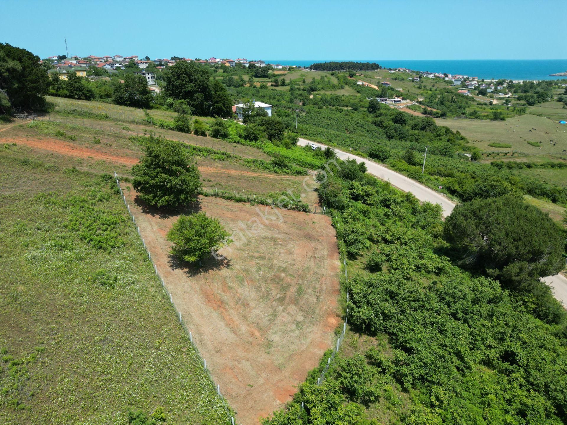 Bağırganlı'da Full Deniz Ve Doğa Manzaralı 1082 M2 Tarla - Görsel 14