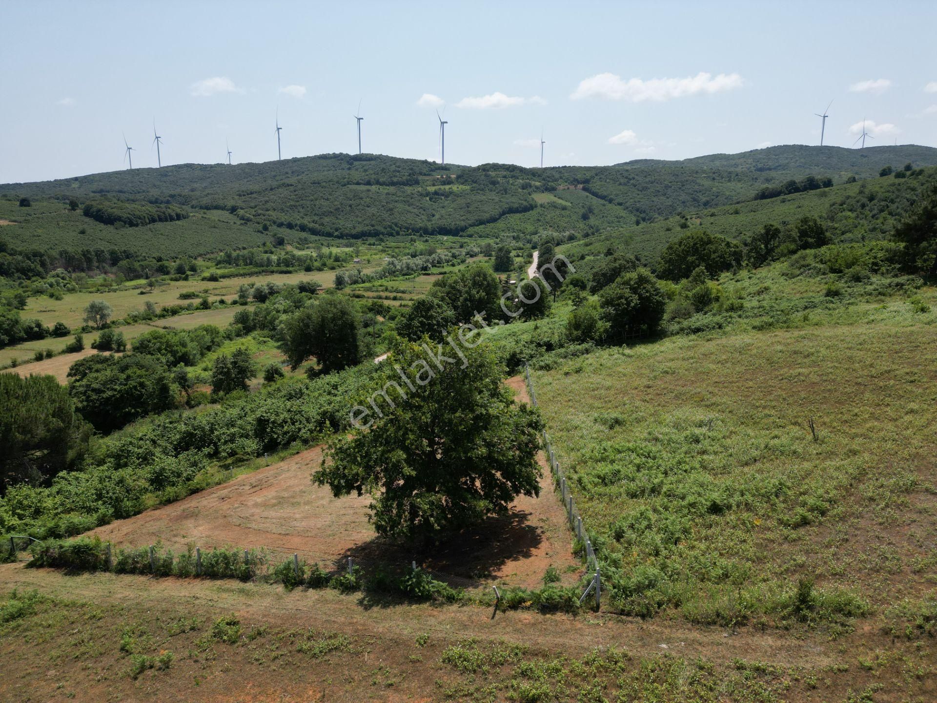 Bağırganlı'da Full Deniz Ve Doğa Manzaralı 1082 M2 Tarla - Görsel 16