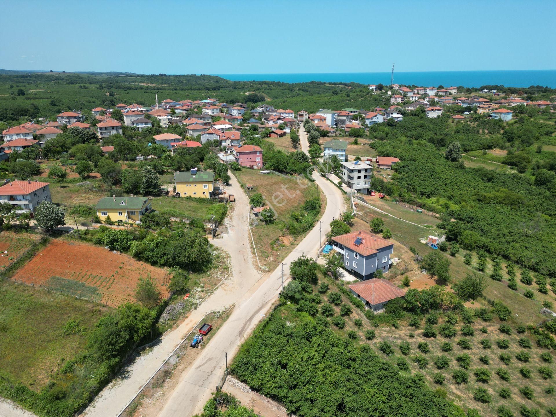 Bağırganlı'da Full Deniz Ve Doğa Manzaralı 1082 M2 Tarla - Görsel 8