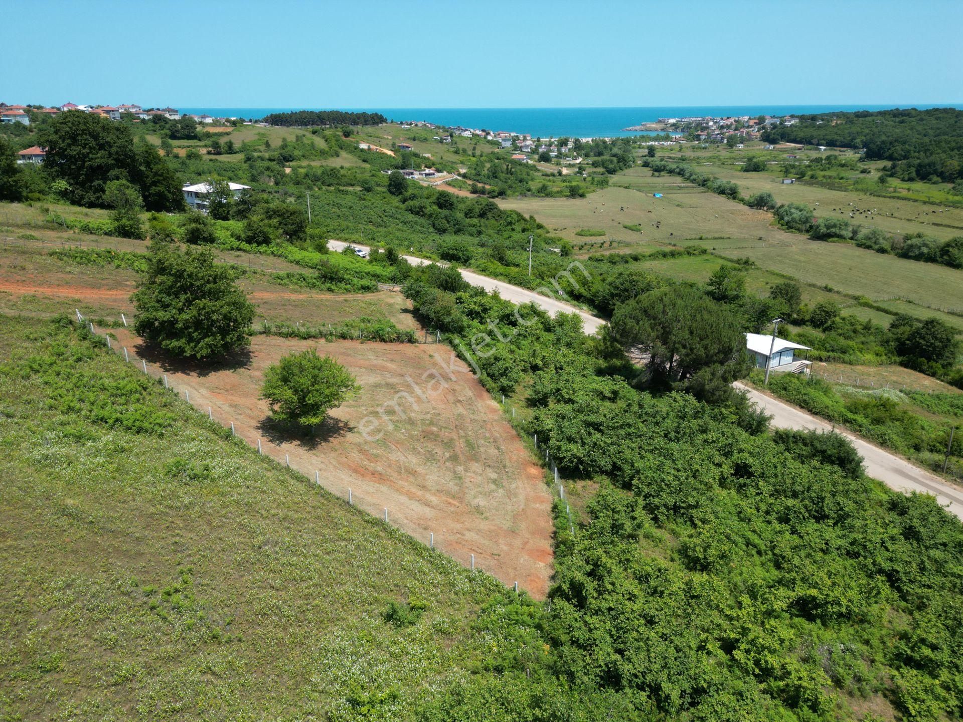Bağırganlı'da Full Deniz Ve Doğa Manzaralı 1082 M2 Tarla - Görsel 29