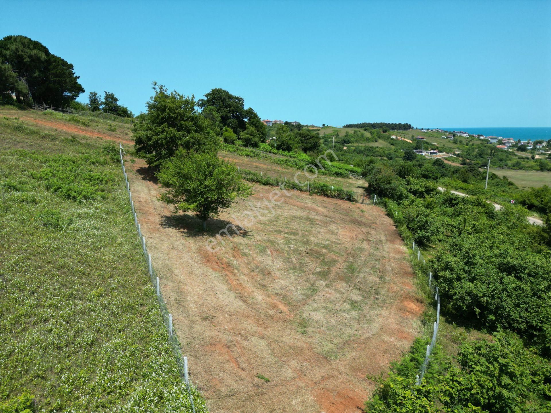 Bağırganlı'da Full Deniz Ve Doğa Manzaralı 1082 M2 Tarla - Görsel 30