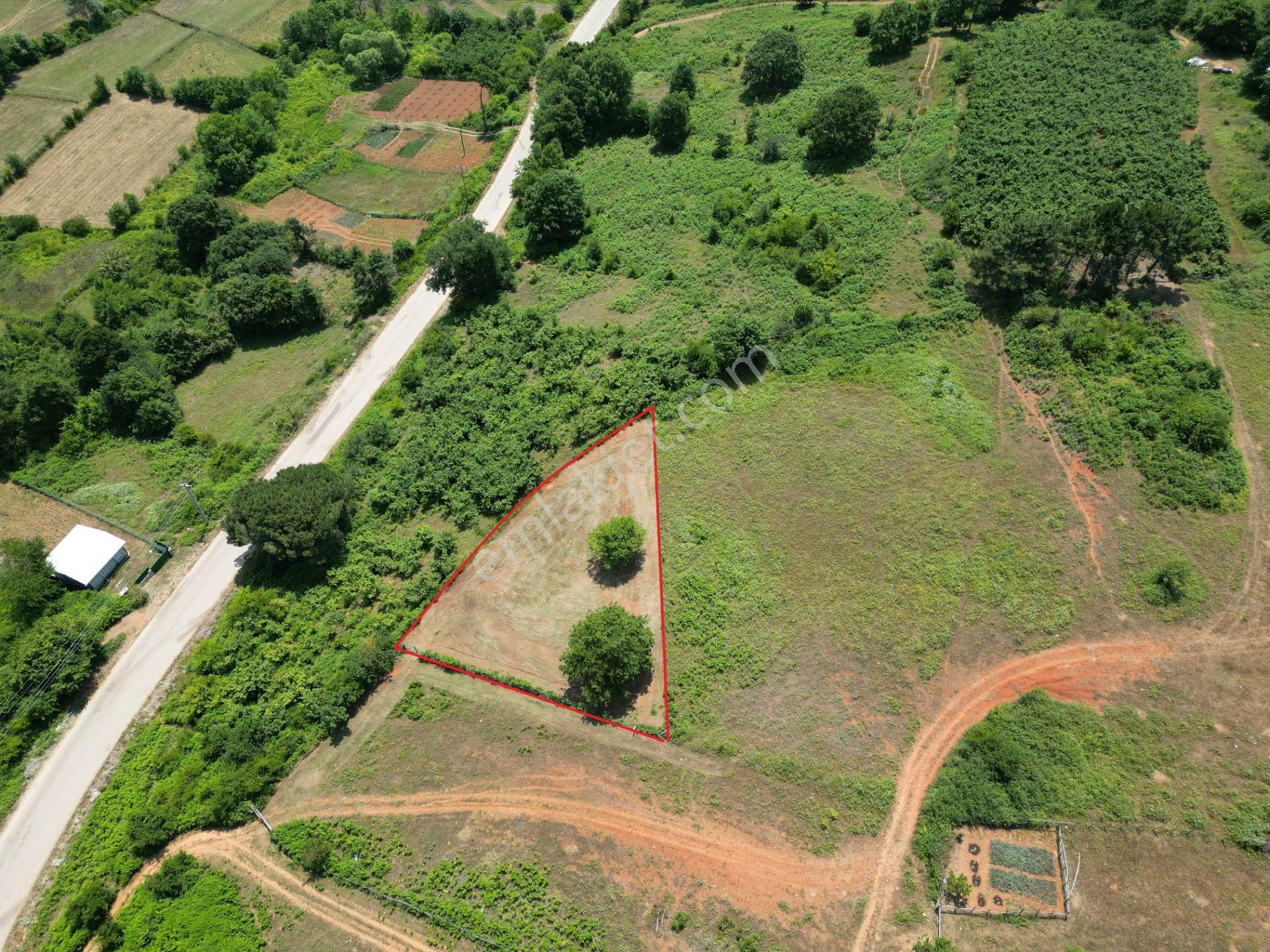 Bağırganlı'da Full Deniz Ve Doğa Manzaralı 1082 M2 Tarla - Görsel 7