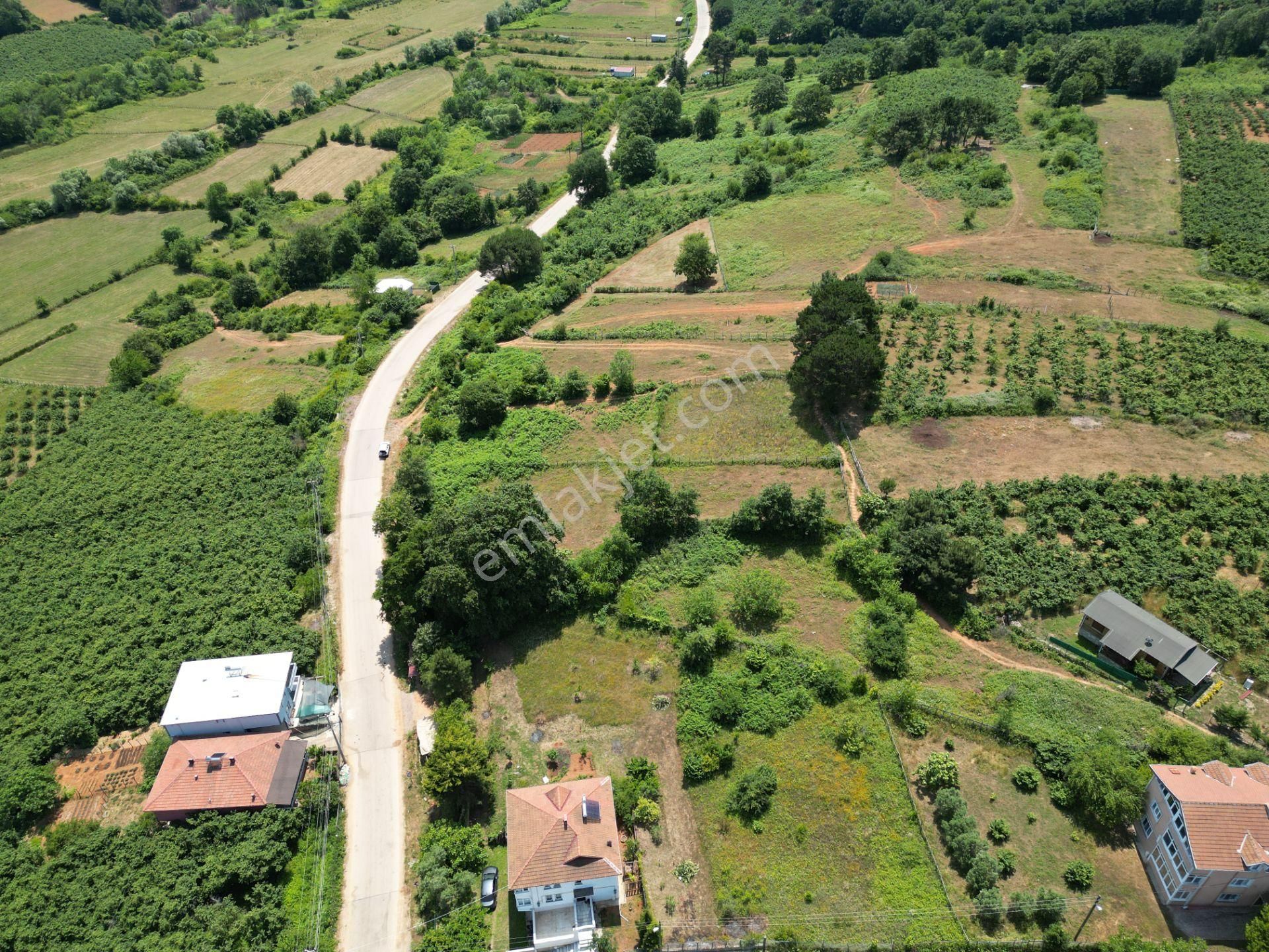 Bağırganlı'da Full Deniz Ve Doğa Manzaralı 1082 M2 Tarla - Görsel 13