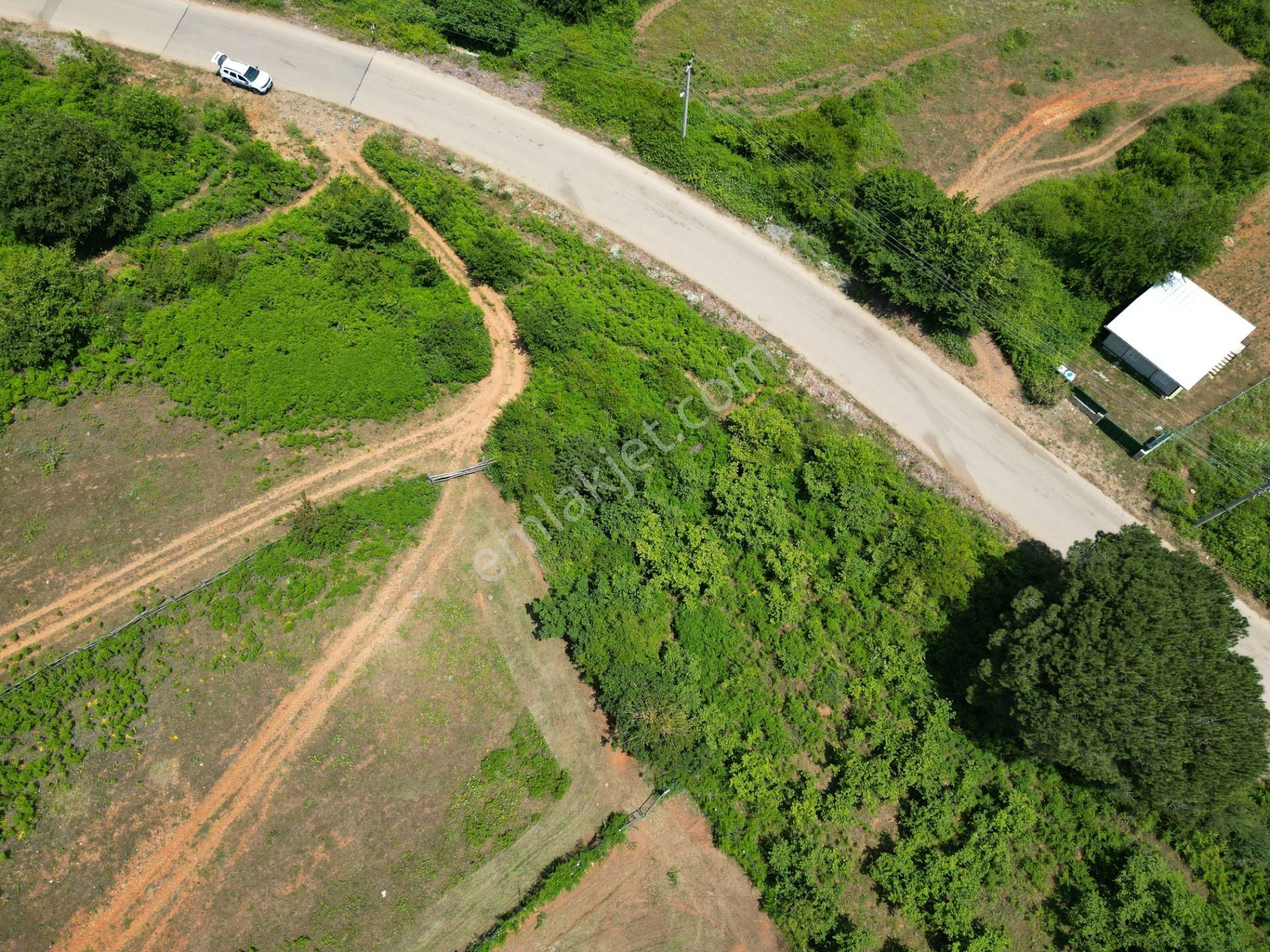 Bağırganlı'da Full Deniz Ve Doğa Manzaralı 1082 M2 Tarla - Görsel 33