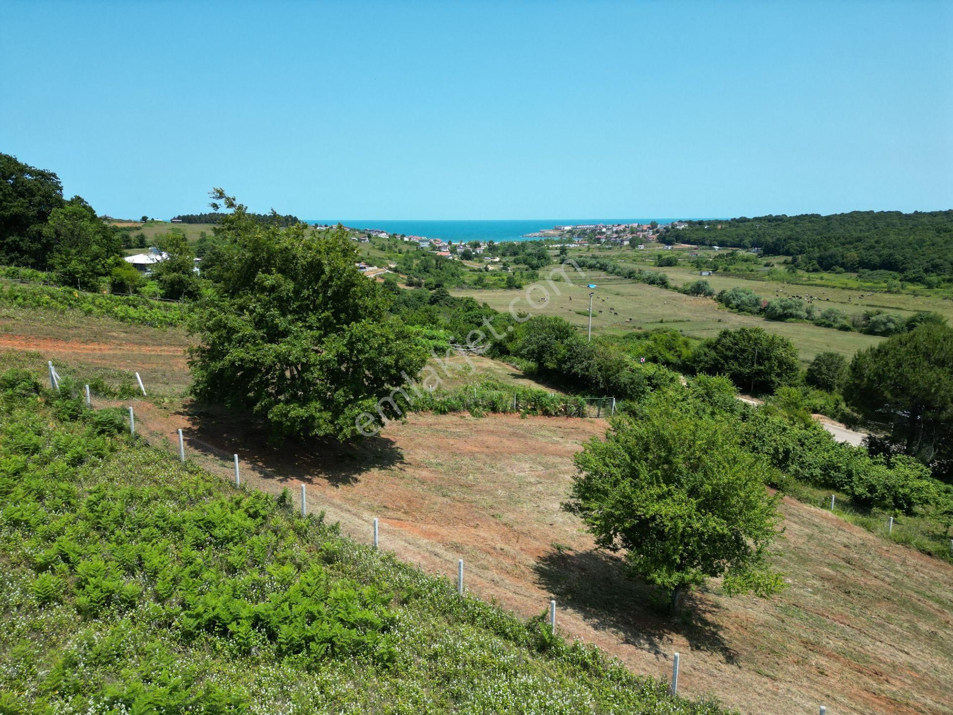 Bağırganlı'da Full Deniz Ve Doğa Manzaralı 1082 M2 Tarla - Görsel 31