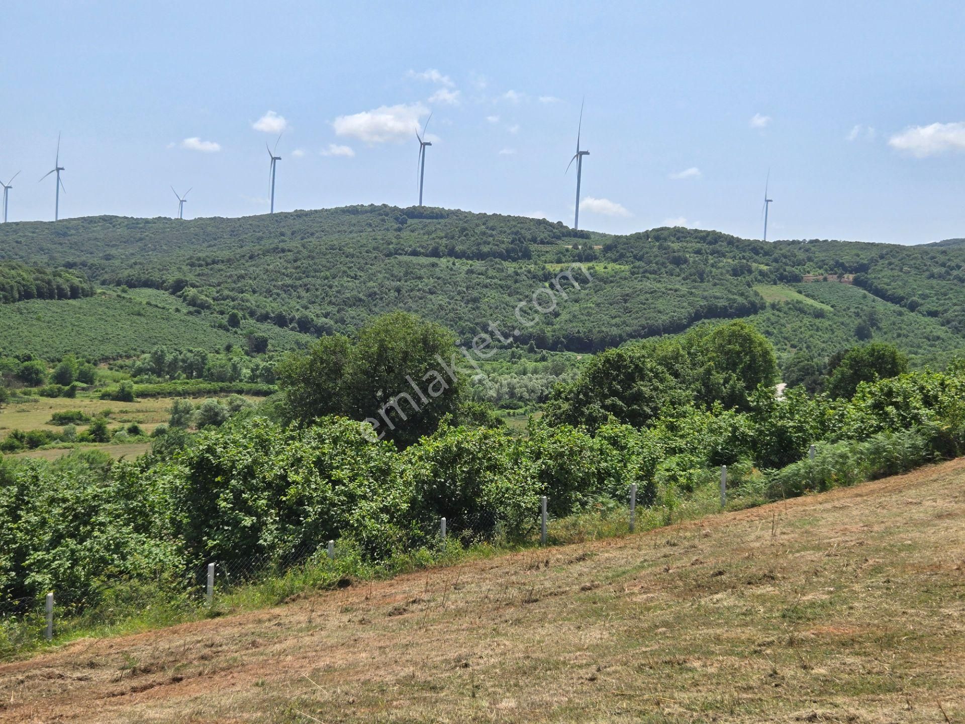 Bağırganlı'da Full Deniz Ve Doğa Manzaralı 1082 M2 Tarla - Görsel 26