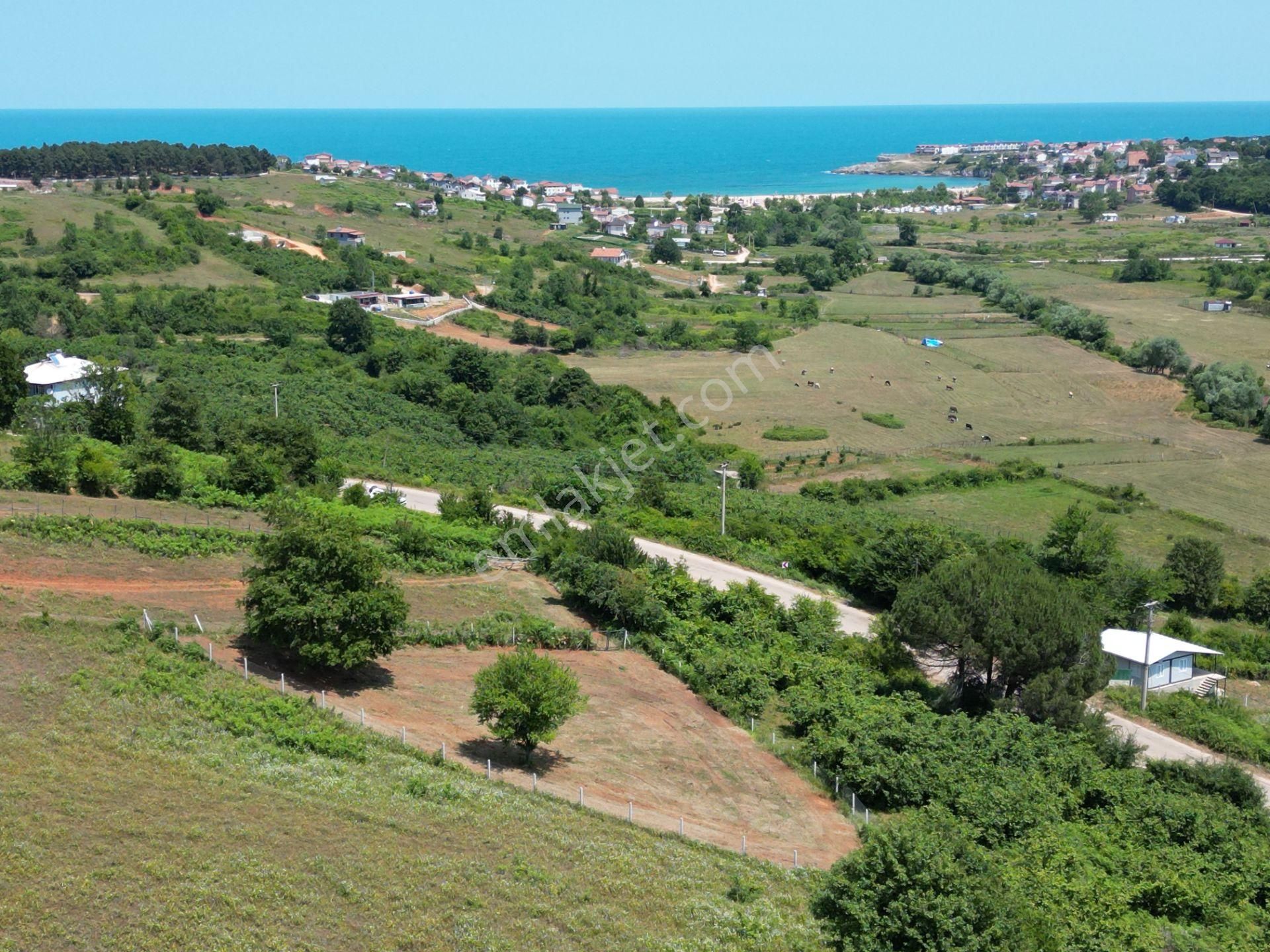 Bağırganlı'da Full Deniz Ve Doğa Manzaralı 1082 M2 Tarla - Görsel 18