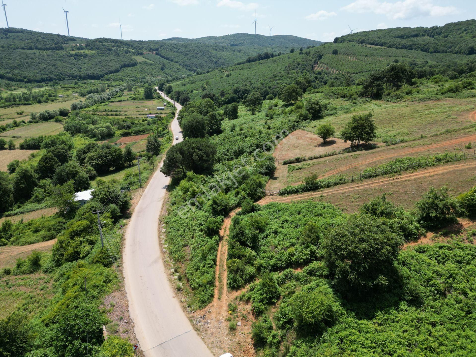 Bağırganlı'da Full Deniz Ve Doğa Manzaralı 1082 M2 Tarla - Görsel 28