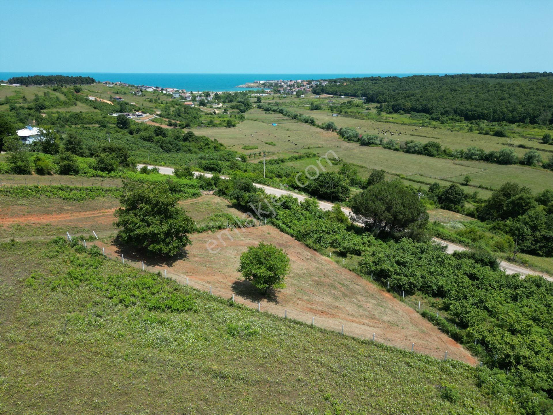 Bağırganlı'da Full Deniz Ve Doğa Manzaralı 1082 M2 Tarla - Görsel 32