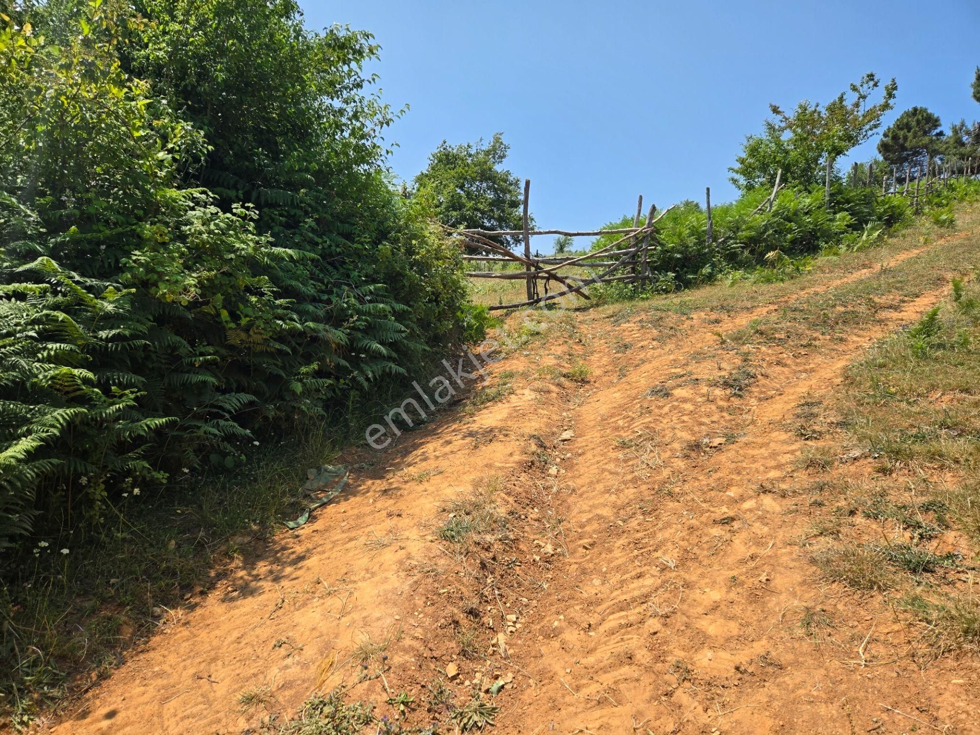 Bağırganlı'da Full Deniz Ve Doğa Manzaralı 1082 M2 Tarla - Görsel 23