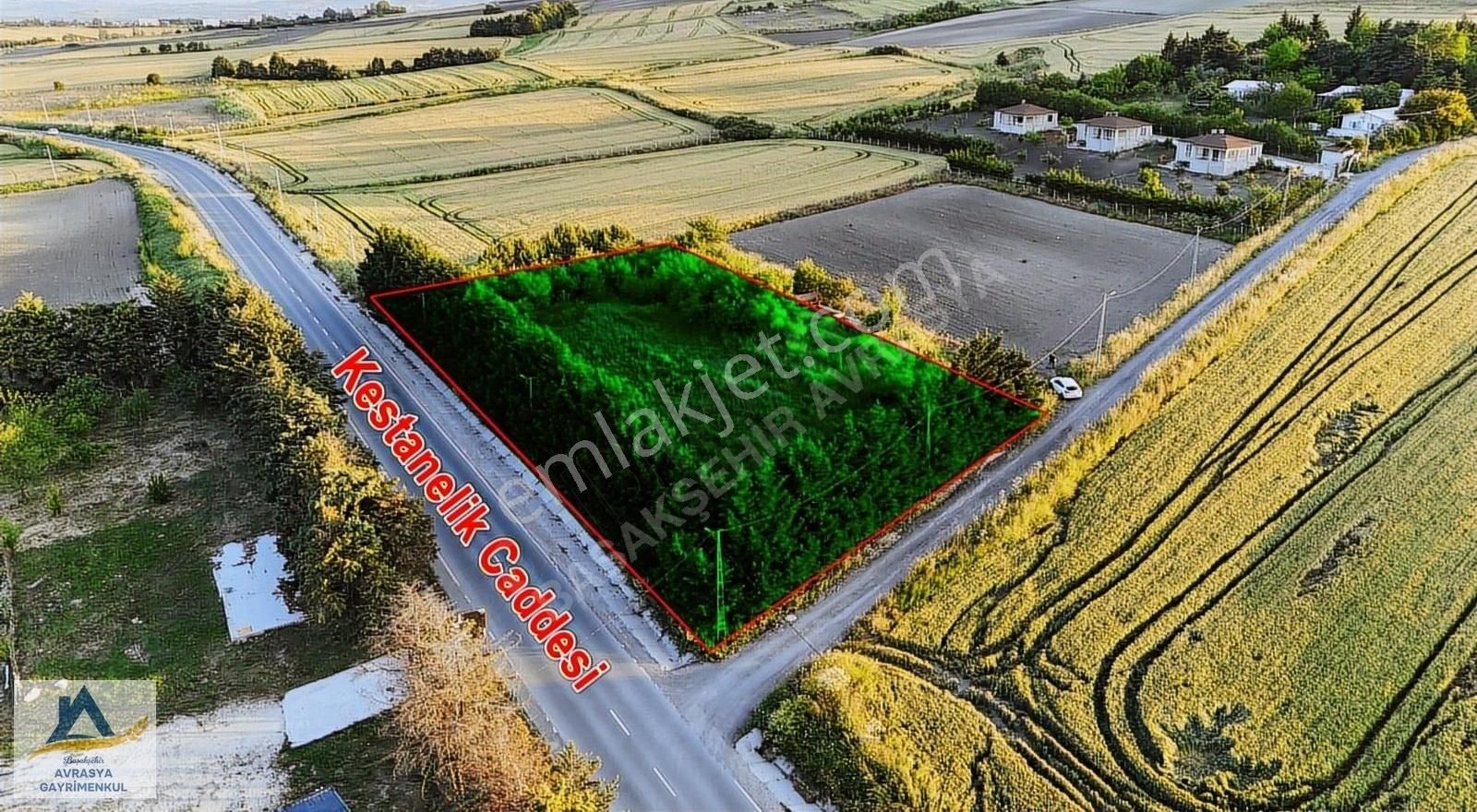 Çatalca Kestanelik'te Cadde Üstü 4 Dönüm Satılık Fırsat Tarla