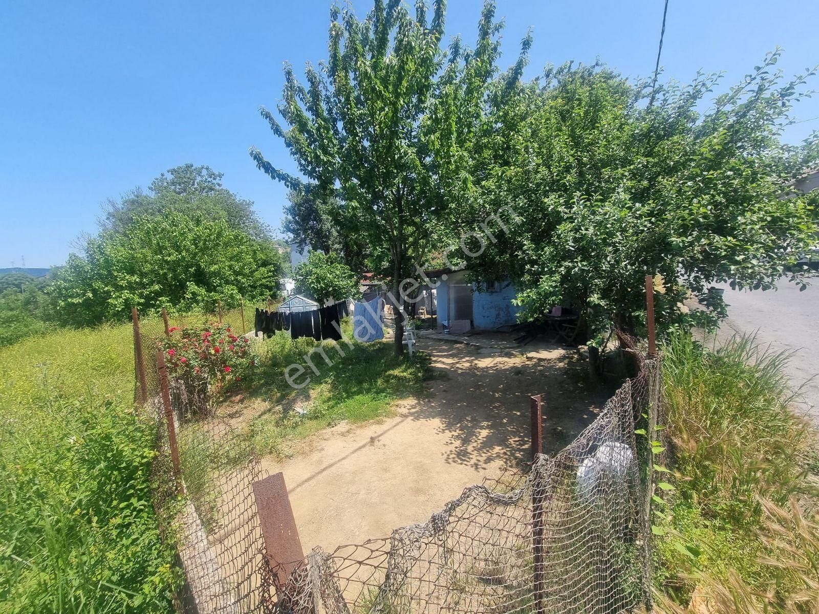 Sarıyer Cumhuriyet Mahallesi Doğa Deniz, Manzaralı Bahçeli 2.ev - Görsel 11