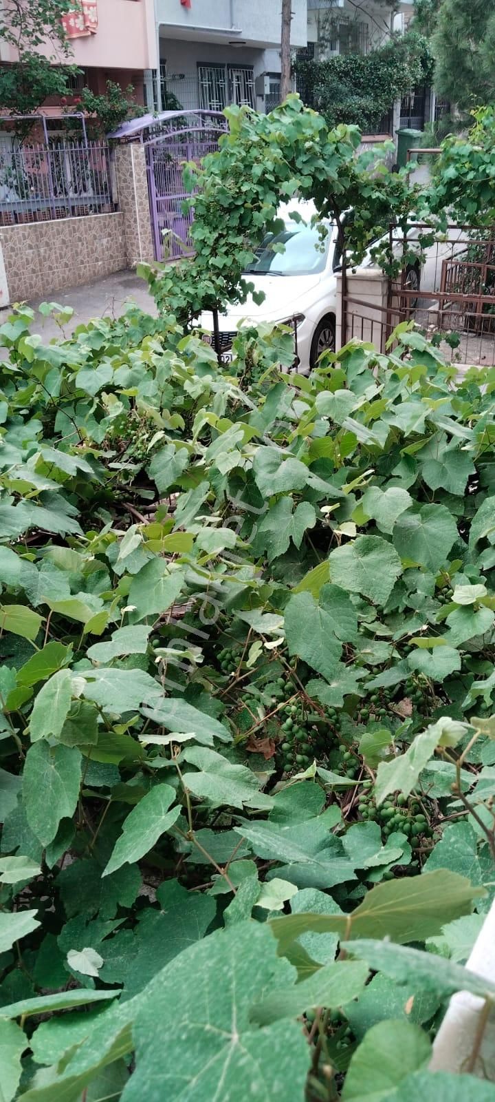 Asker Emlak'tan Askeri Jandarma Meslek Okuluna Yakın 2+1 90m2 Daire - Görsel 18