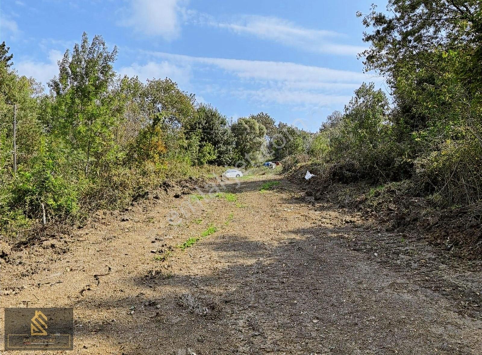 Evim Gayrimenkul'den 5.500 M2 Tek Tapu - Görsel 16