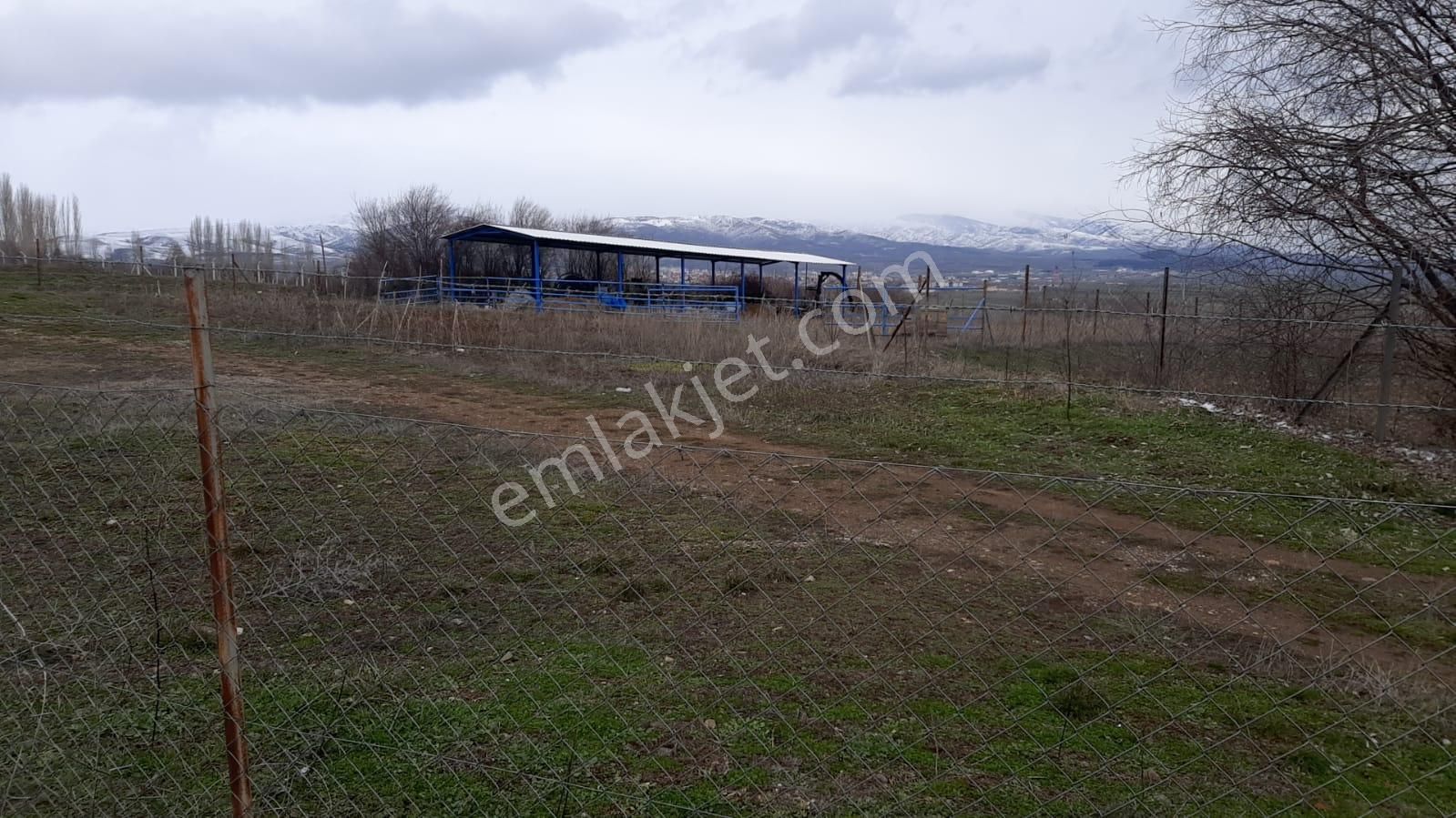 Satılık Amasya Gümüşhacıköy Ağcadede Mah. Köy İçi 2.950 M2