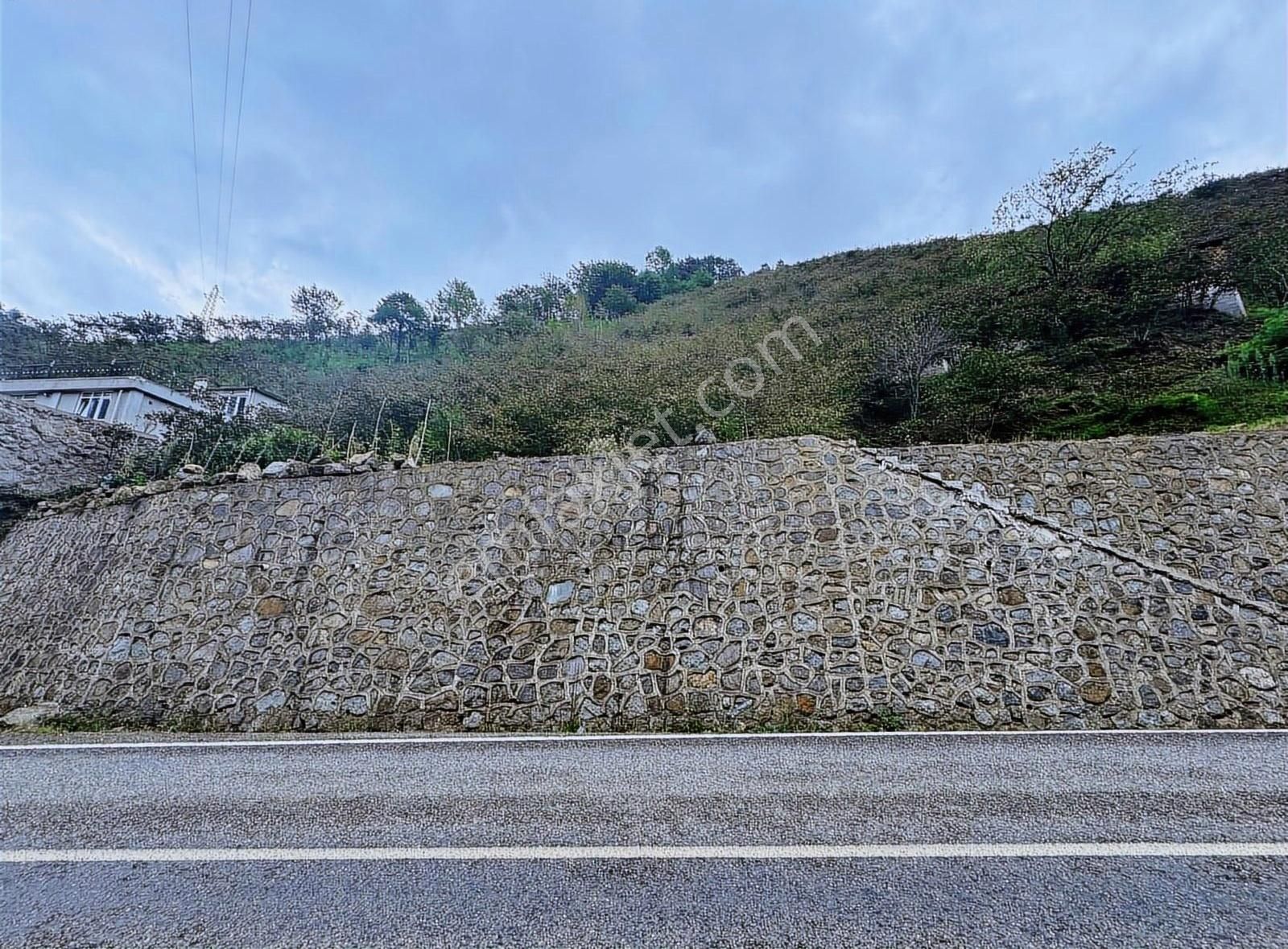 İnanç Primedan Uzkara Köyünde Satılık 4656 M2 Fındık Bahçesi