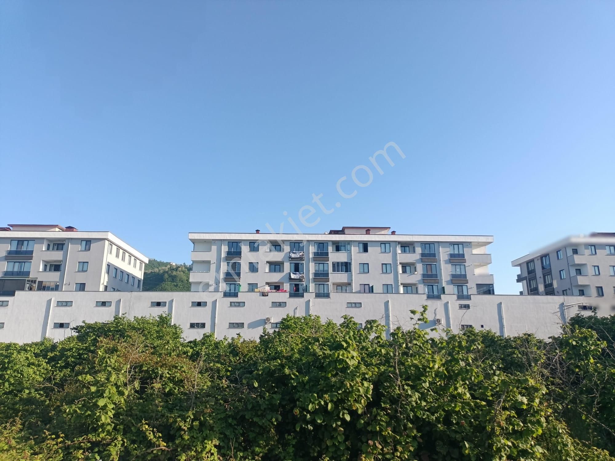 Üniversite Yakınında Kiralık 2+1 Daire Deniz Manzaralı