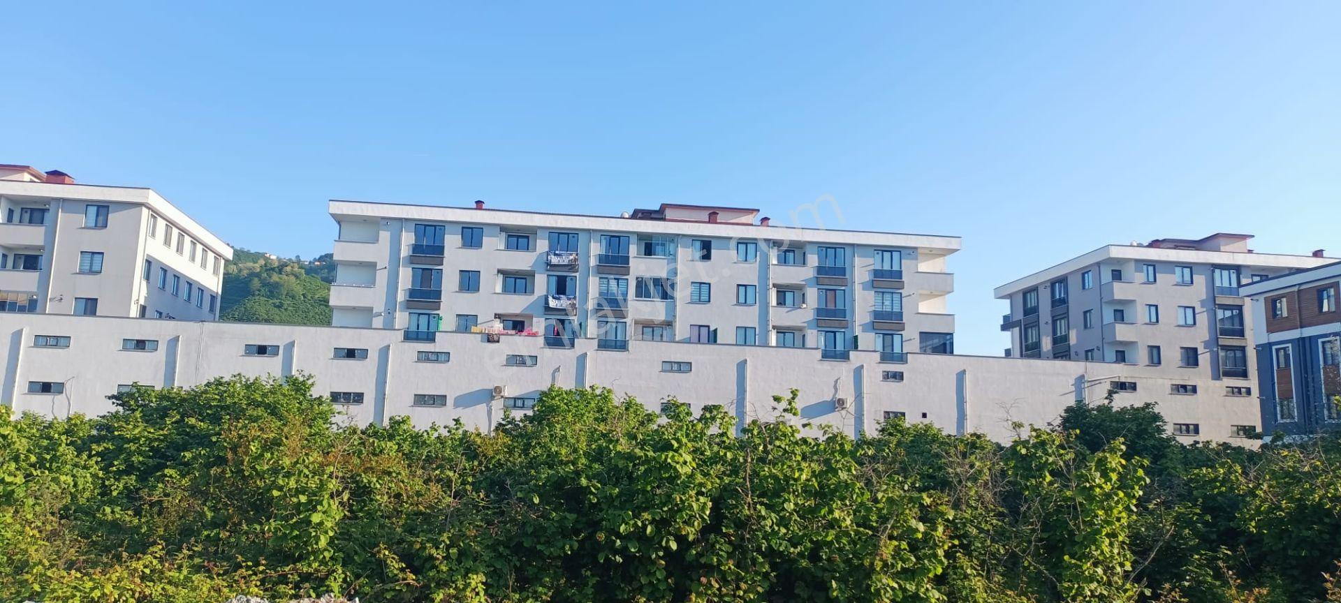 Üniversite Yakınında Kiralık 2+1 Daire Deniz Manzaralı - Görsel 2