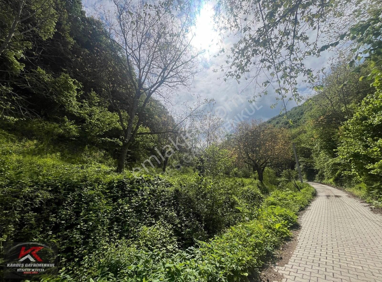 Kardeş Gayrimenkul Köy Yerleşik Alanında İmarlı Satılık Arsa