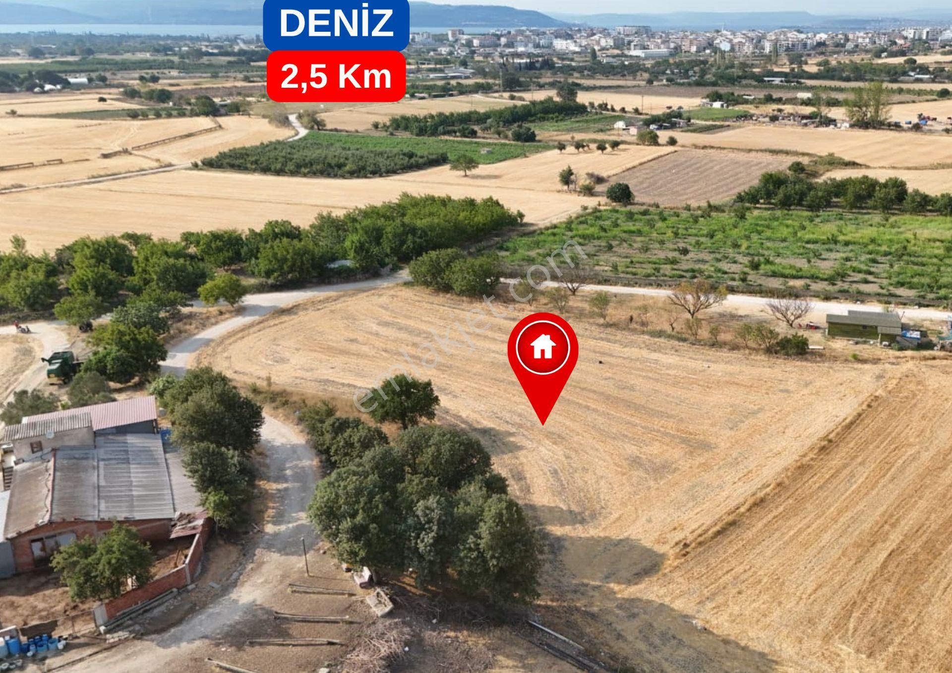 Çanakkale Çınarlı Satılık Tarla Yolu Var İzmir Yoluna 700 M.