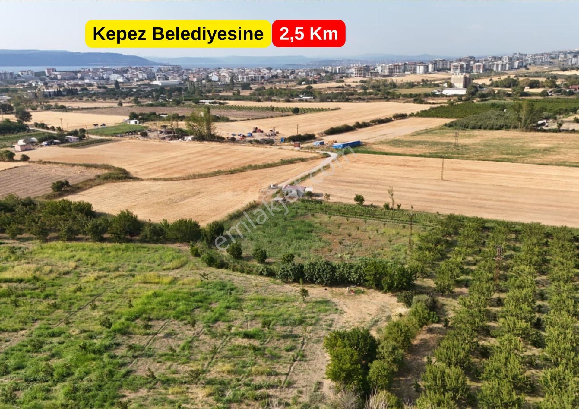 Çanakkale Çınarlı Satılık Tarla Yolu Var İzmir Yoluna 700 M. - Görsel 3