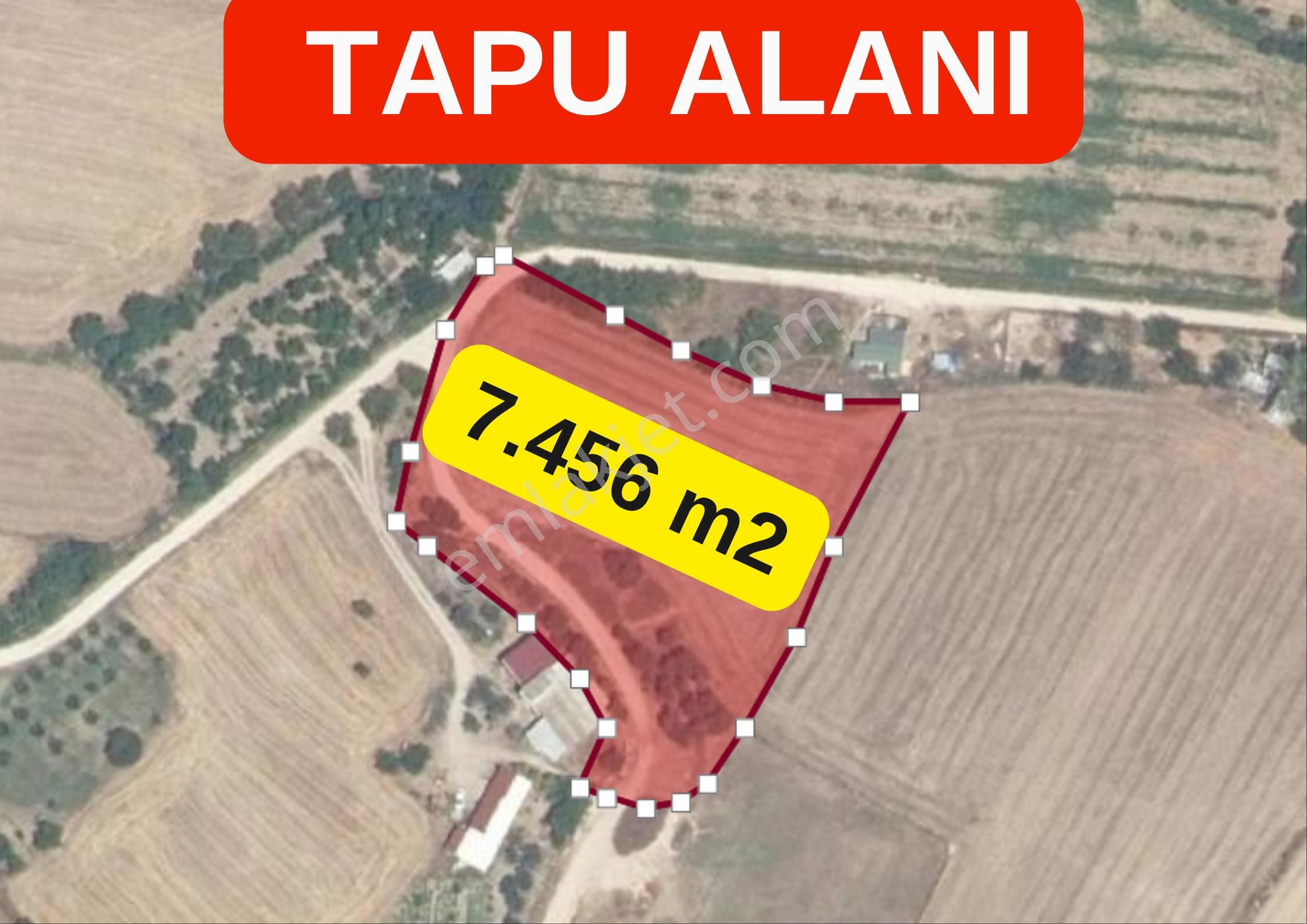 Çanakkale Çınarlı Satılık Tarla Yolu Var İzmir Yoluna 700 M. - Görsel 18
