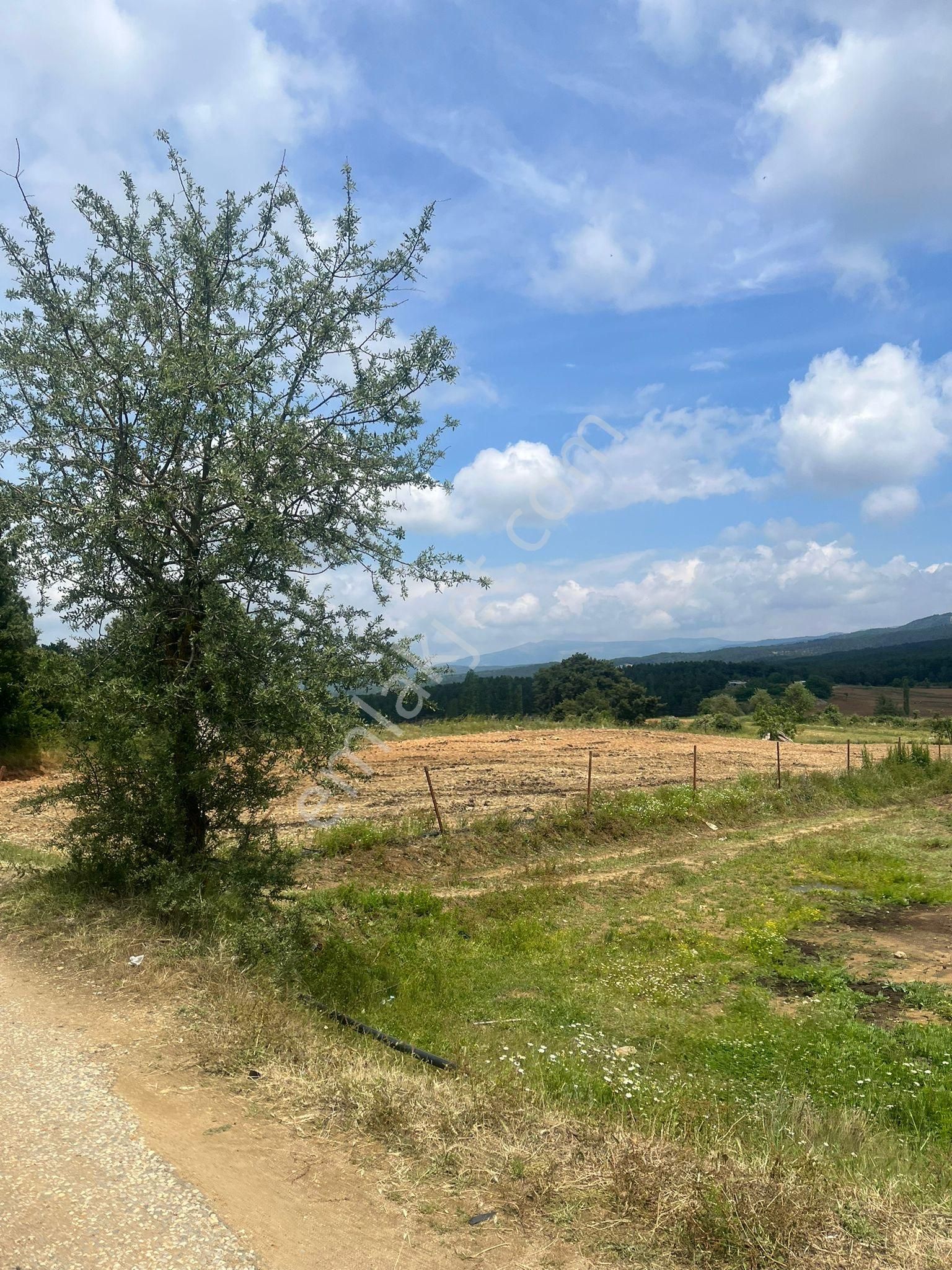 İzmir Ödemişte 366 M2 Tek Tapulu Hobi Bahçesi