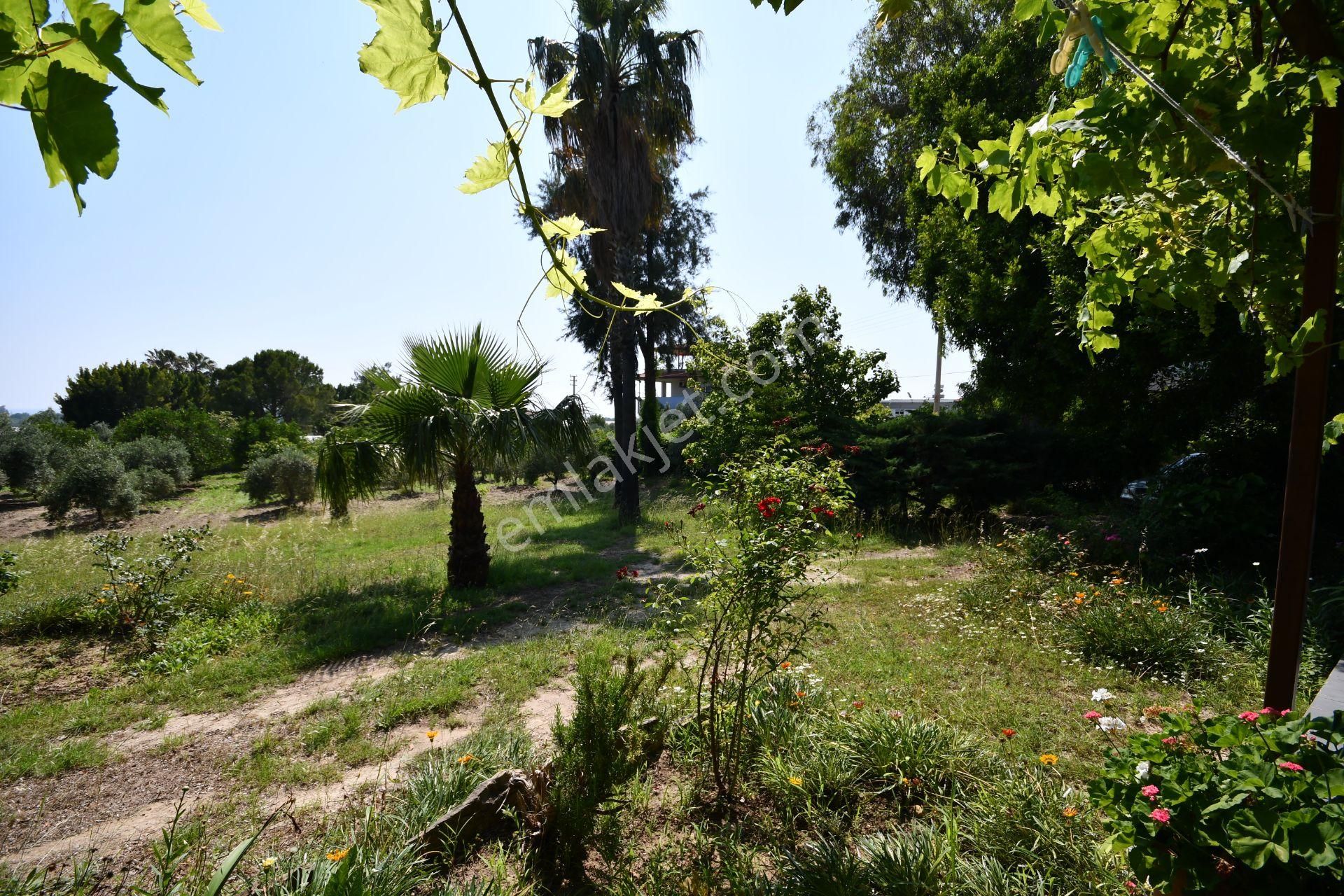 Manavgat Çenger Mahallesinde 3080 M2 Arsa İçerisinde Deniz Manzaralı Müstakil Villa - Görsel 25