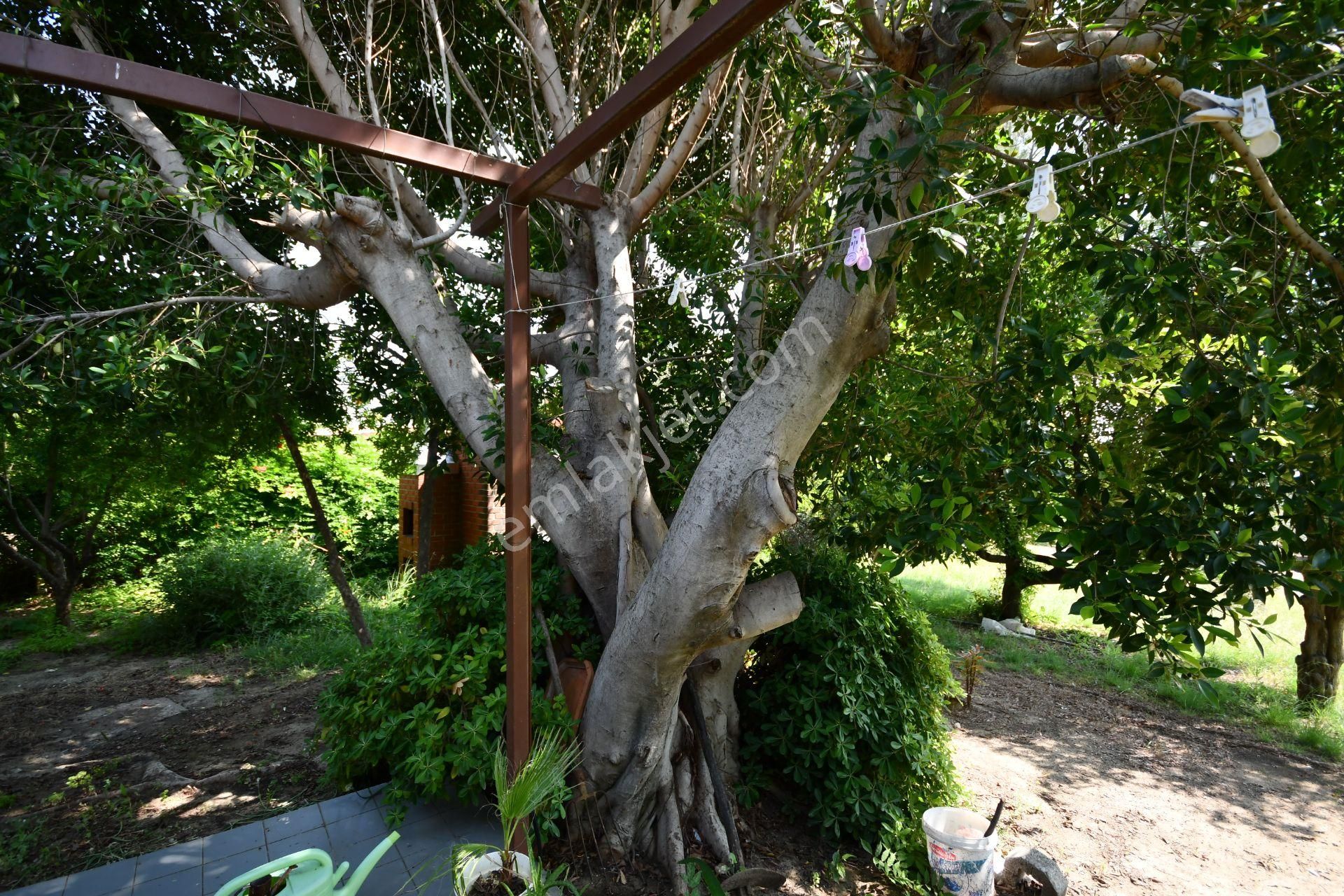 Manavgat Çenger Mahallesinde 3080 M2 Arsa İçerisinde Deniz Manzaralı Müstakil Villa - Görsel 16