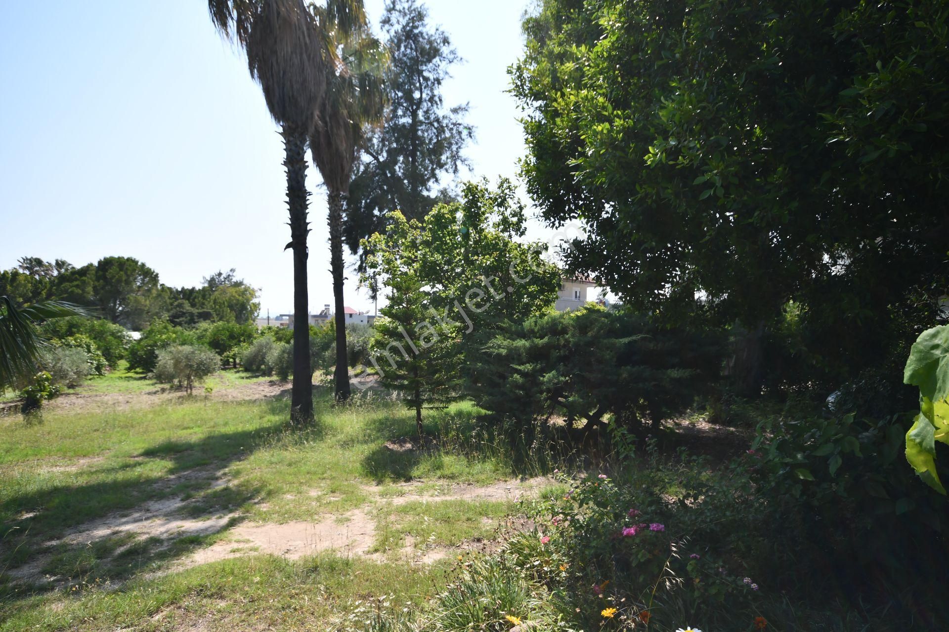 Manavgat Çenger Mahallesinde 3080 M2 Arsa İçerisinde Deniz Manzaralı Müstakil Villa - Görsel 20