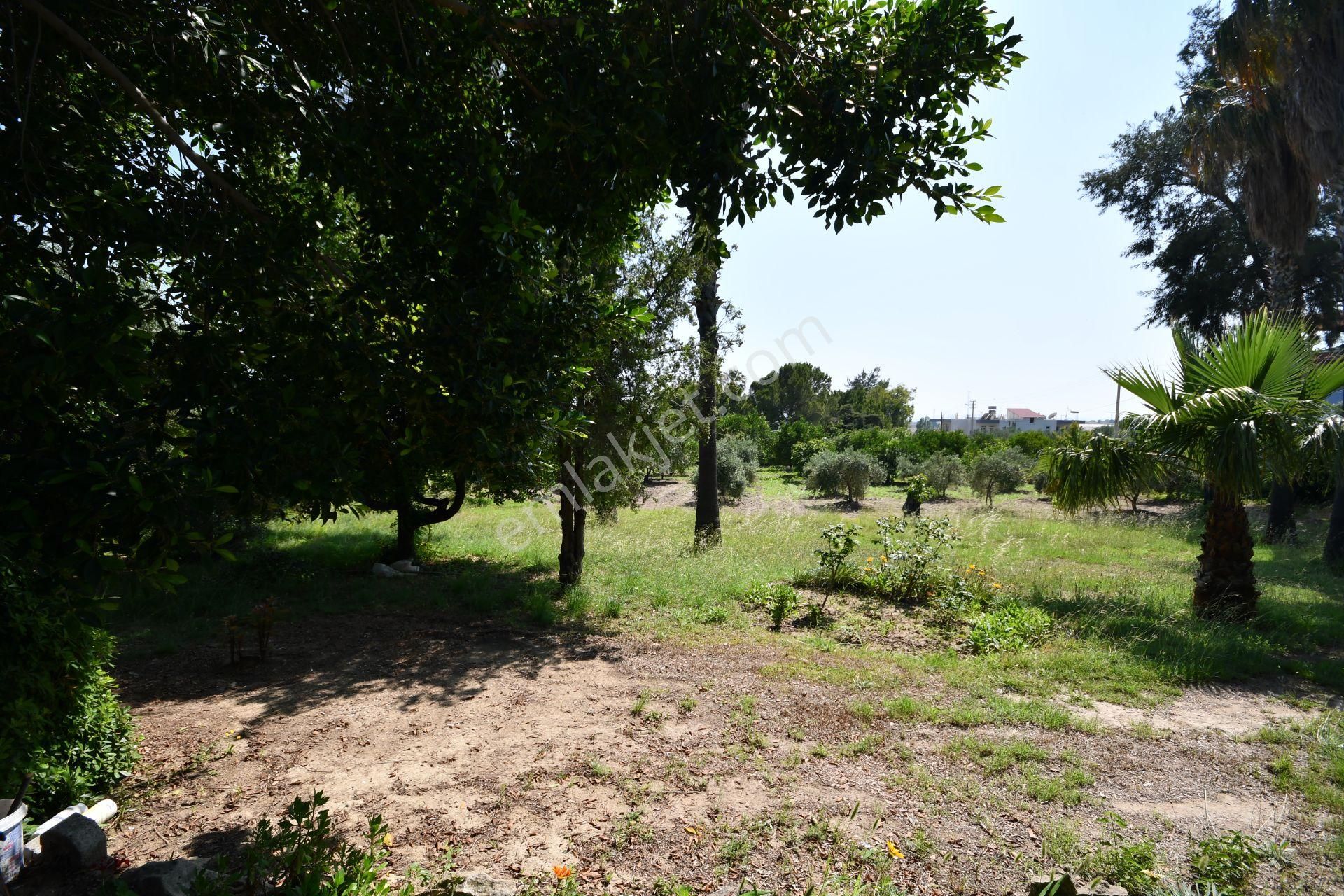 Manavgat Çenger Mahallesinde 3080 M2 Arsa İçerisinde Deniz Manzaralı Müstakil Villa - Görsel 22