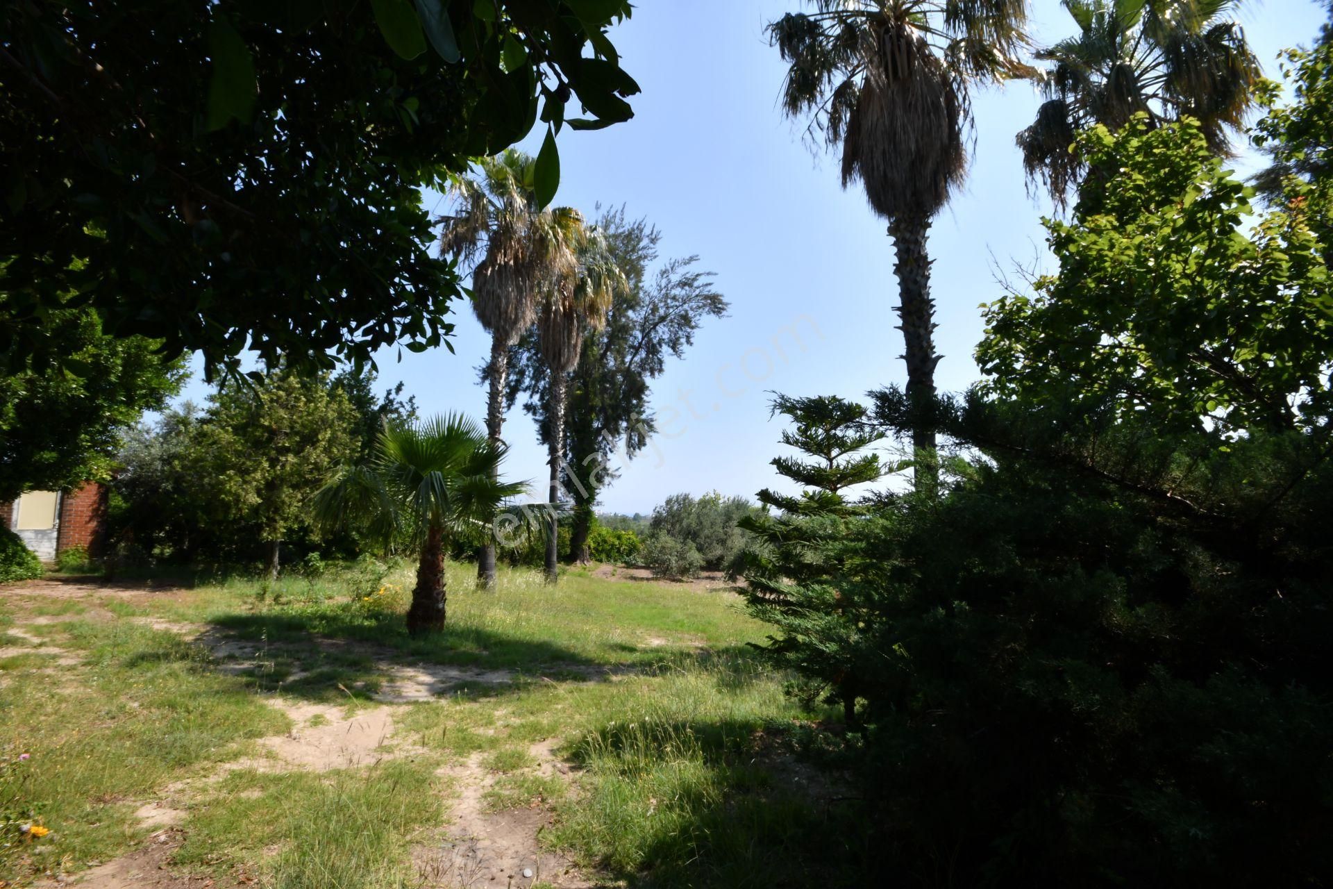 Manavgat Çenger Mahallesinde 3080 M2 Arsa İçerisinde Deniz Manzaralı Müstakil Villa - Görsel 24