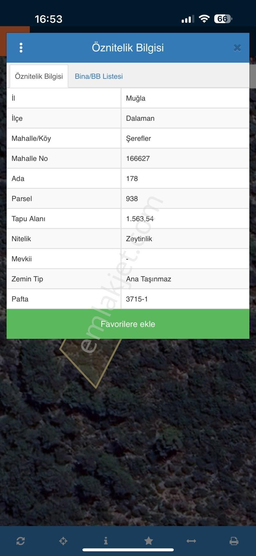 Satılık Zeytinlik