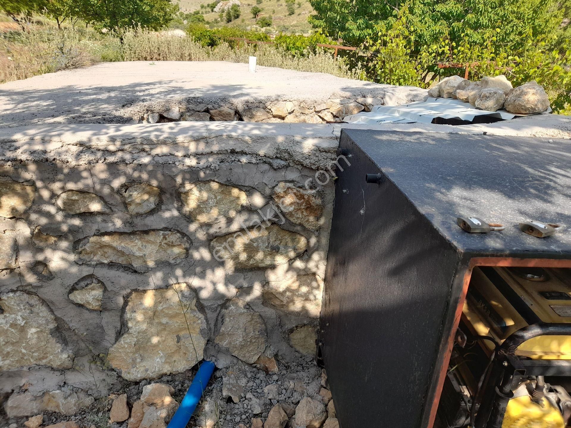 Üzüm Bagi Ve Kaysı Bahcesı