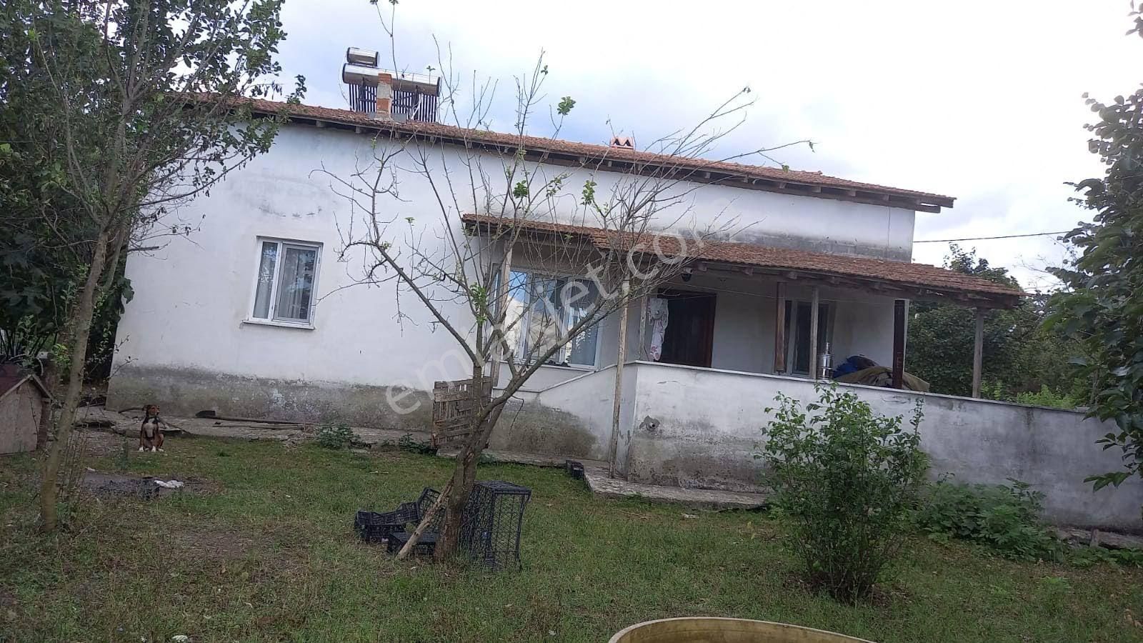 Sakarya Erenler