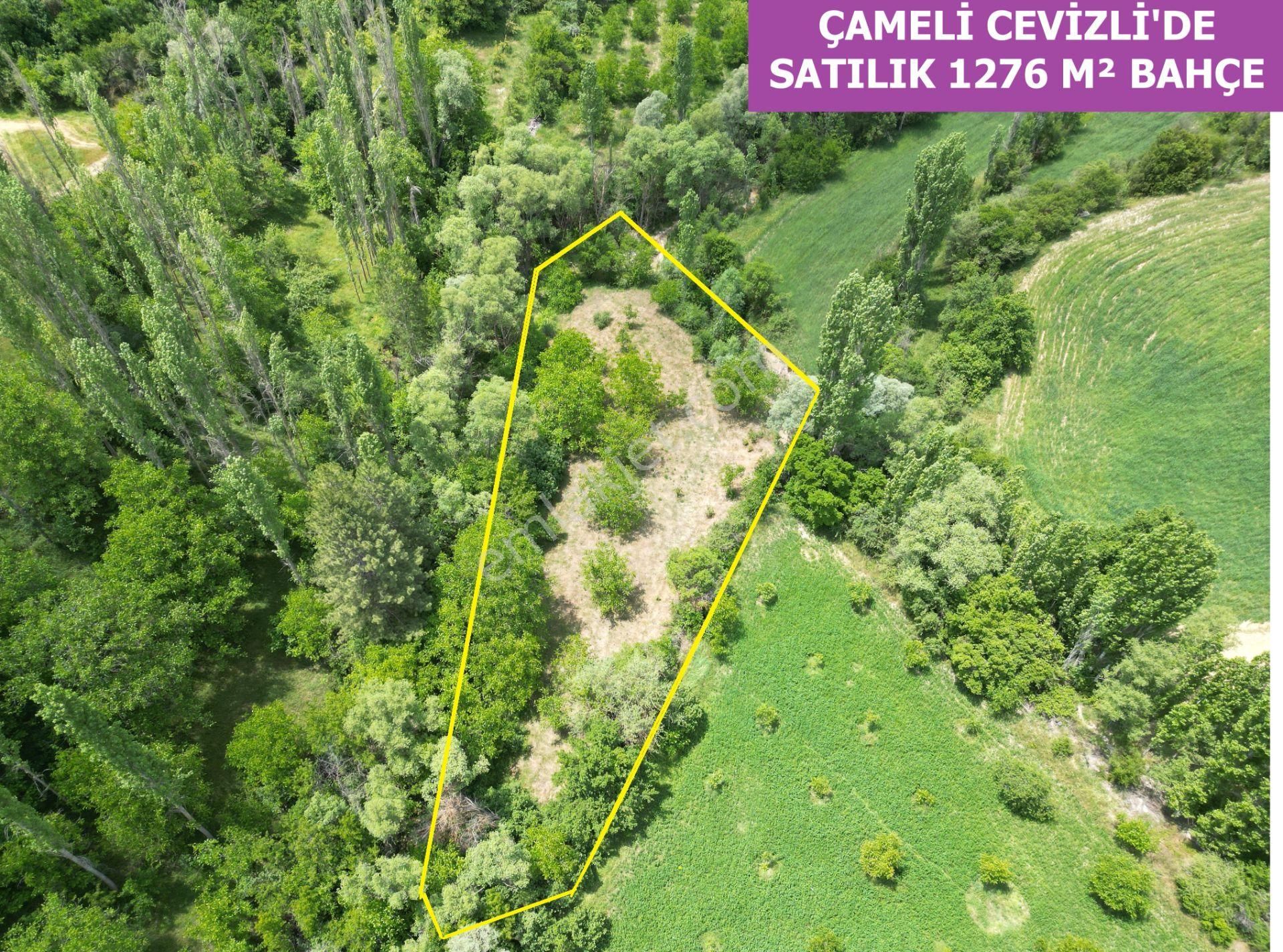 🦋lobby Fortis'ten Satılık Çameli Cevizli 1276 M² Ceviz Bahçesi🦋