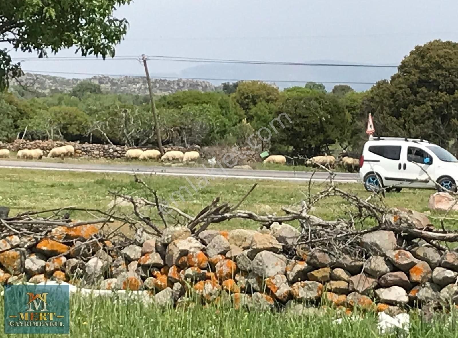 Çanakkale Ayvacık Bektaş Köyünde Tarla