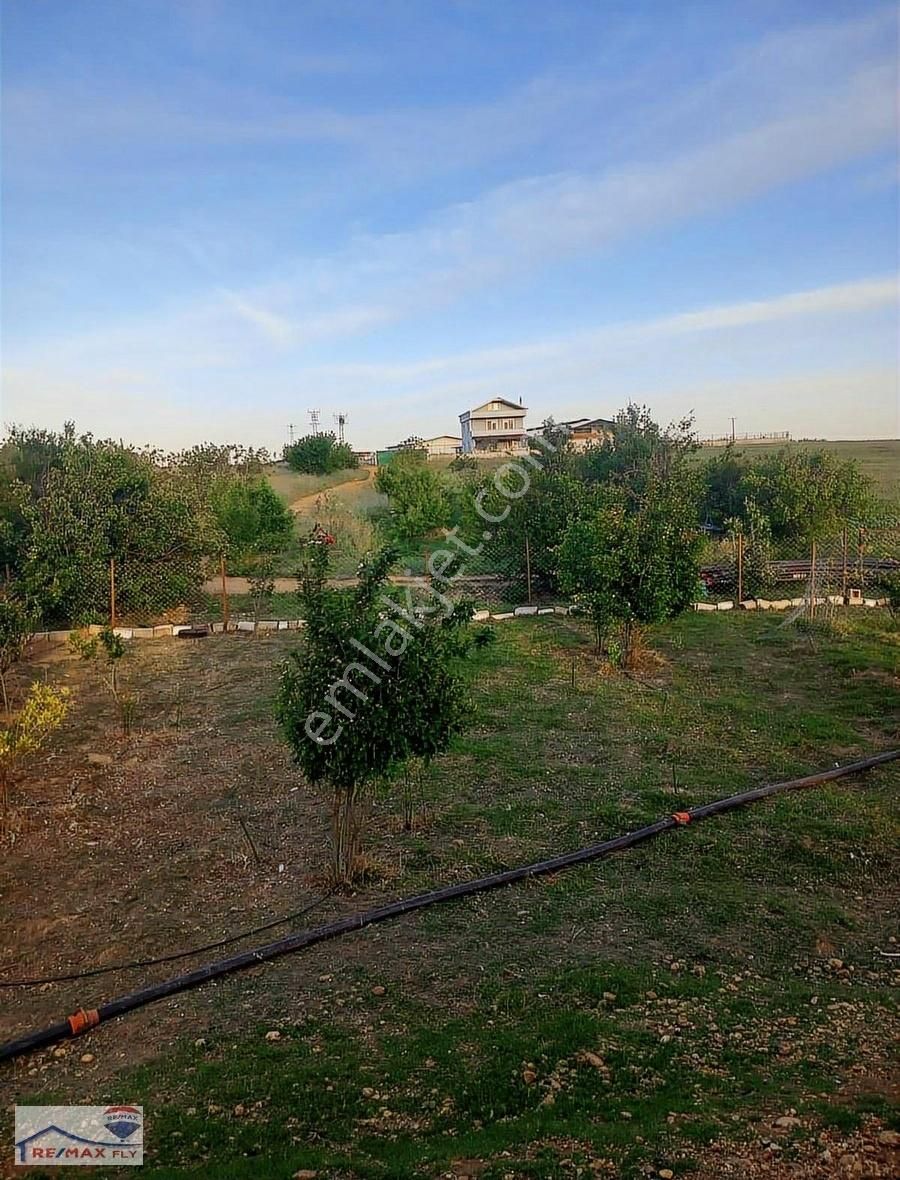 Yatırım Ve Yerleşim İçin Pınarhisar Cevizköy'de Eşsiz Fırsat!
