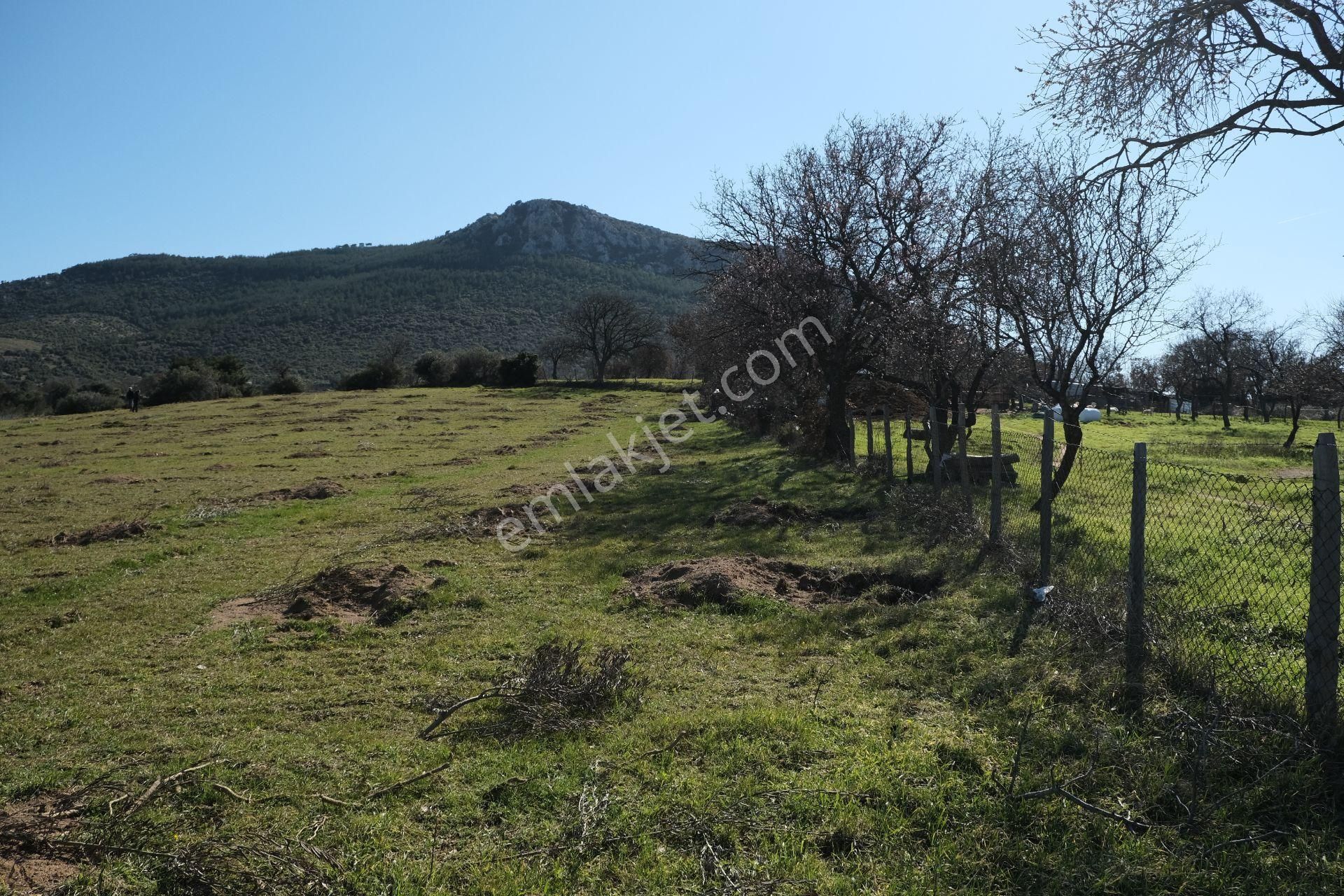 Çanakkale Ezine Tavaklı Köyü Satılık % 40 + 40 İmarlı Arsa - Görsel 10