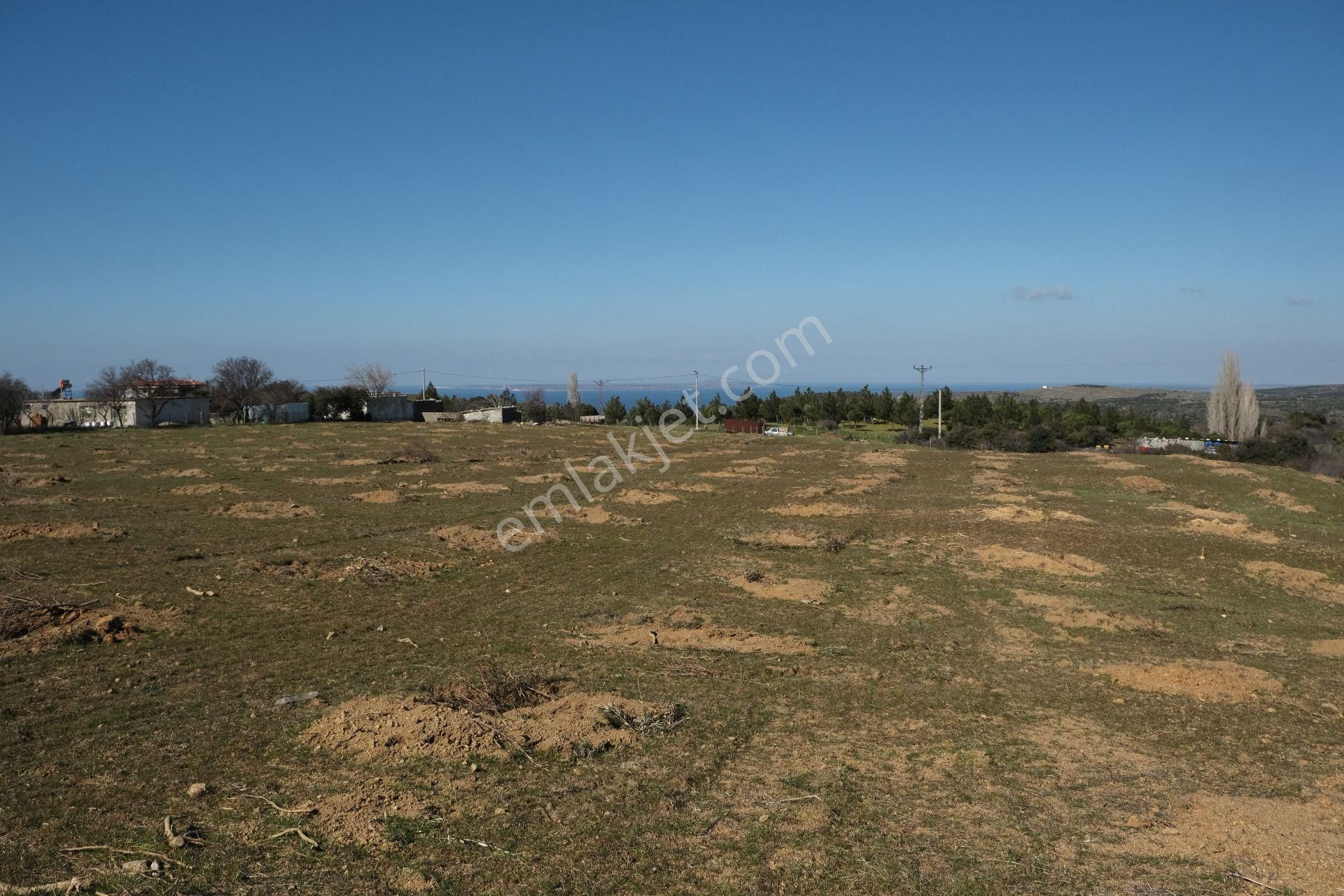 Çanakkale Ezine Tavaklı Köyü Satılık % 40 + 40 İmarlı Arsa - Görsel 17