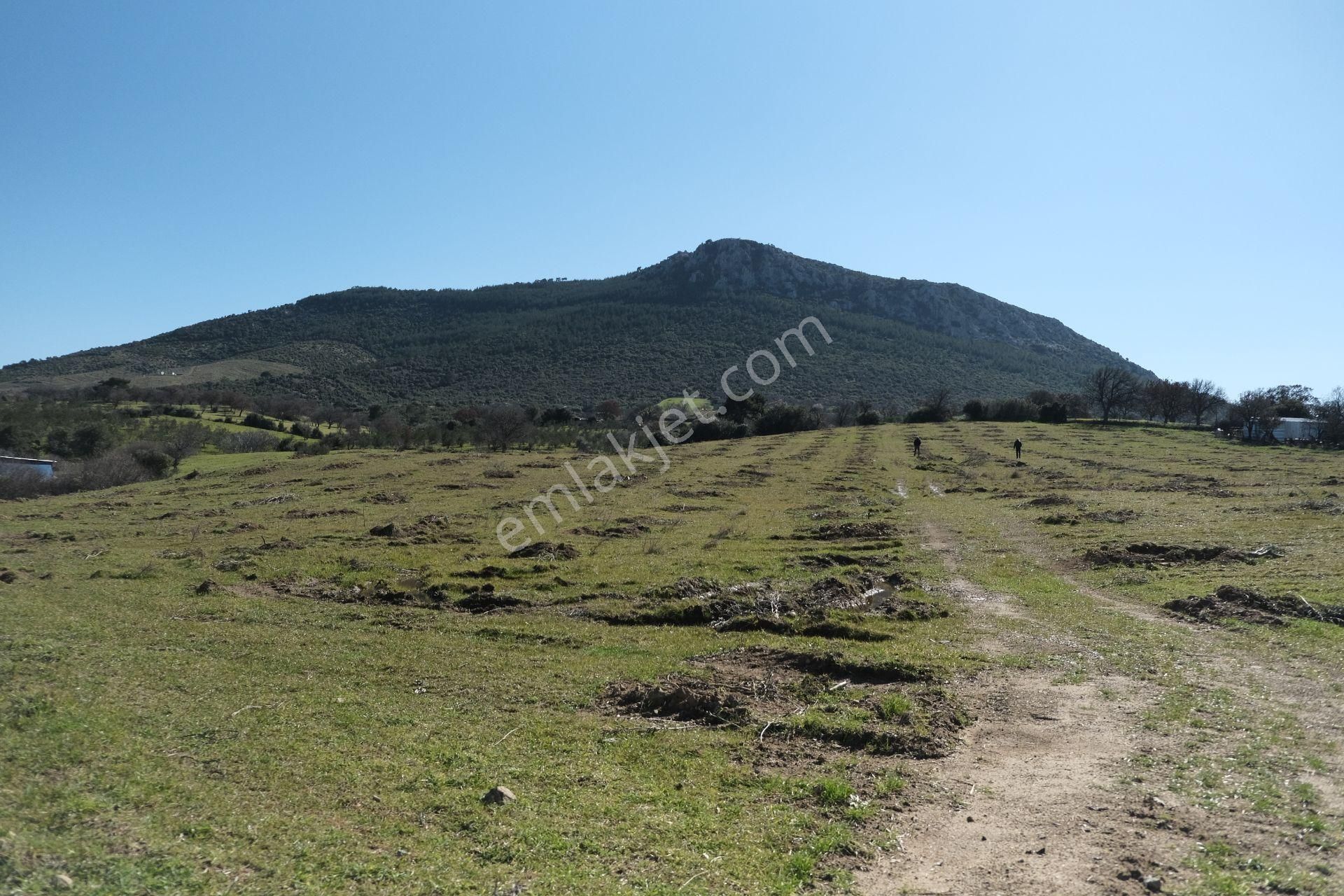 Çanakkale Ezine Tavaklı Köyü Satılık % 40 + 40 İmarlı Arsa - Görsel 4