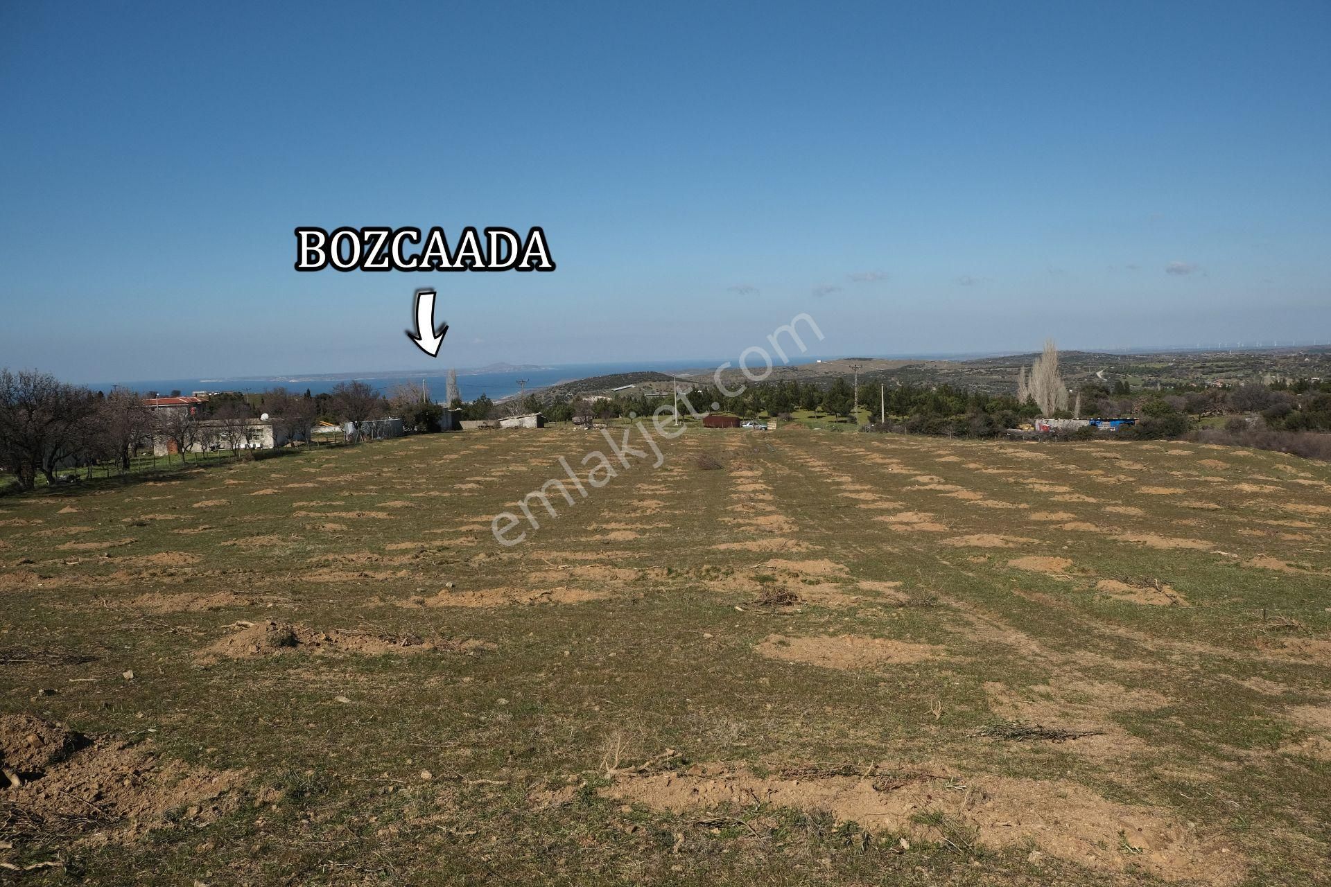 Çanakkale Ezine Tavaklı Köyü Satılık % 40 + 40 İmarlı Arsa - Görsel 12