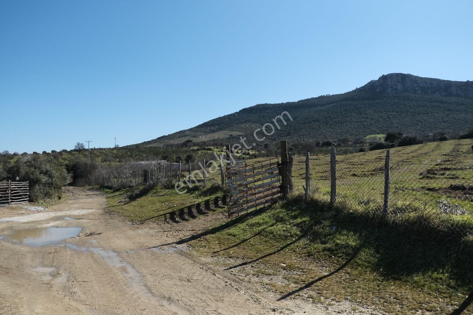 Çanakkale Ezine Tavaklı Köyü Satılık % 40 + 40 İmarlı Arsa - Görsel 3