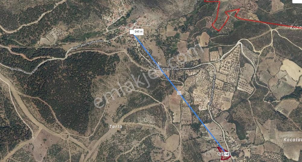 Bergama Yukarı Ilgındere Mahallesinde Satılık Zeytinlik - Görsel 2