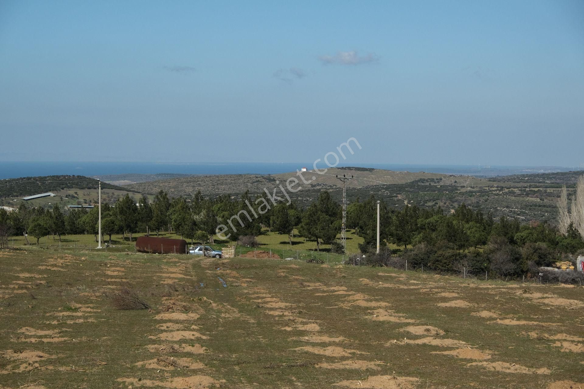 Çanakkale Ezine Tavaklı Köyü Satılık % 40 + 40 İmarlı Arsa - Görsel 15