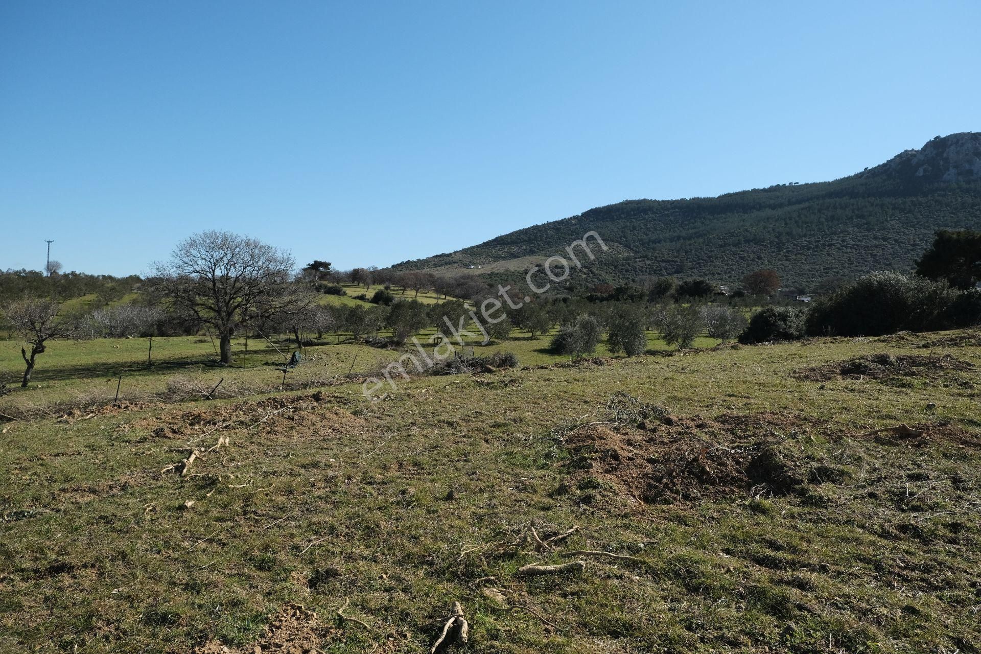 Çanakkale Ezine Tavaklı Köyü Satılık % 40 + 40 İmarlı Arsa - Görsel 21